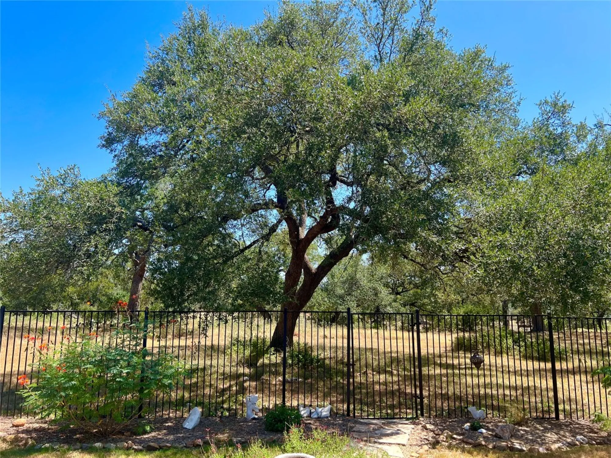 Property Slideshow image 32 of 38 | 508 chinkapin trl, New Braunfels, TX, 78132