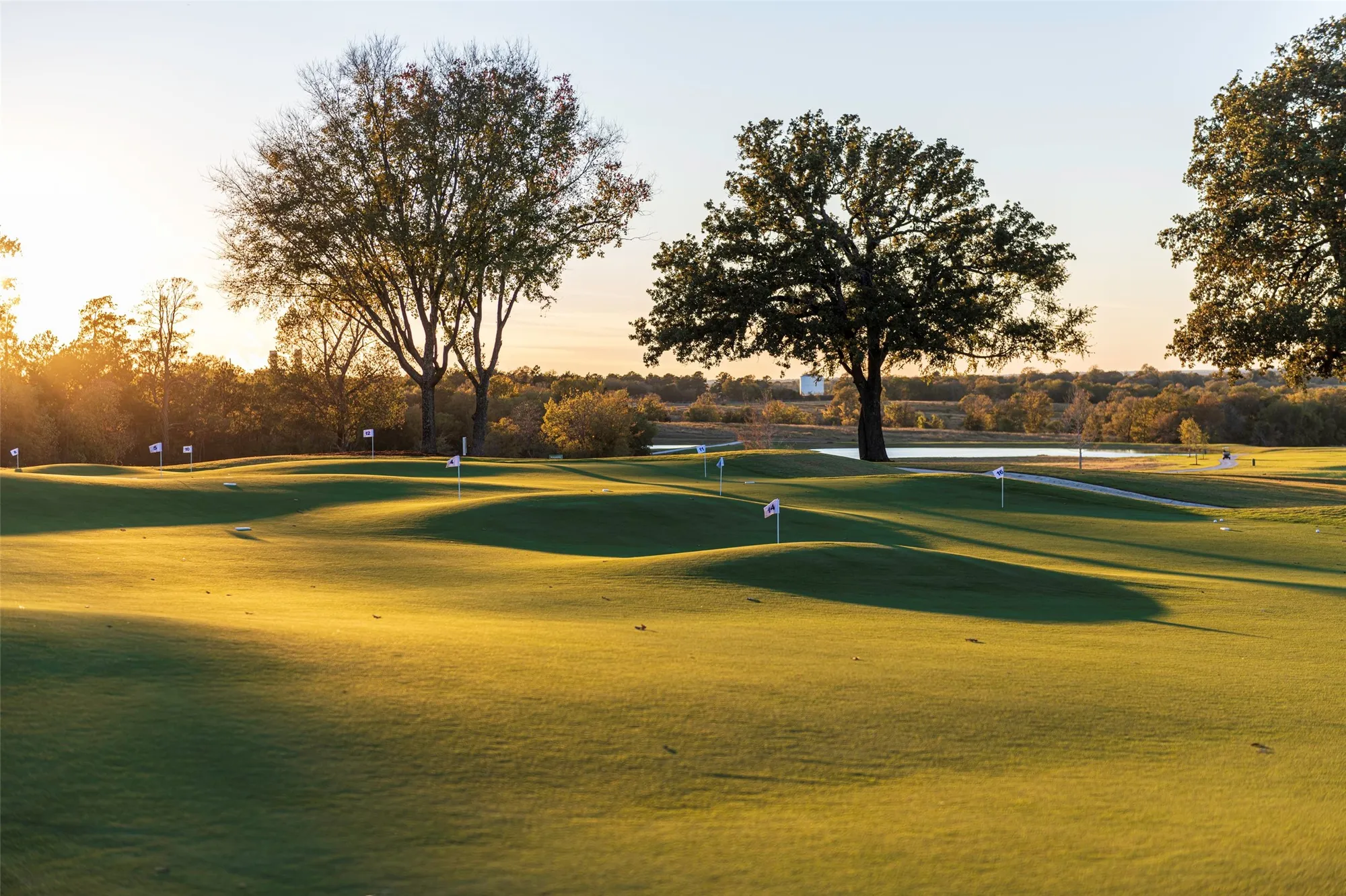 Property Slideshow image 6 of 13 | 10026 larkin cv, Willis, TX, 77318