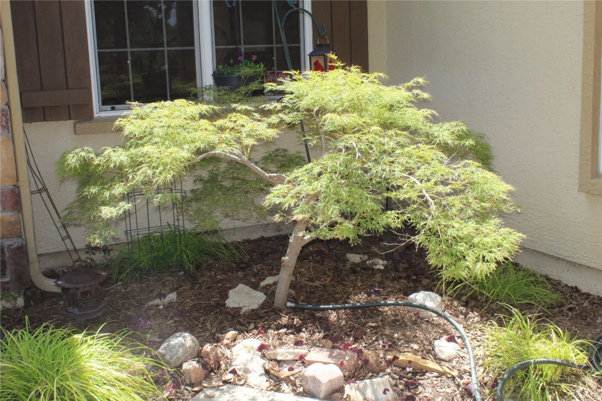 Property Slideshow image 5 of 32 | 503 dawson trl, Georgetown, TX, 78633