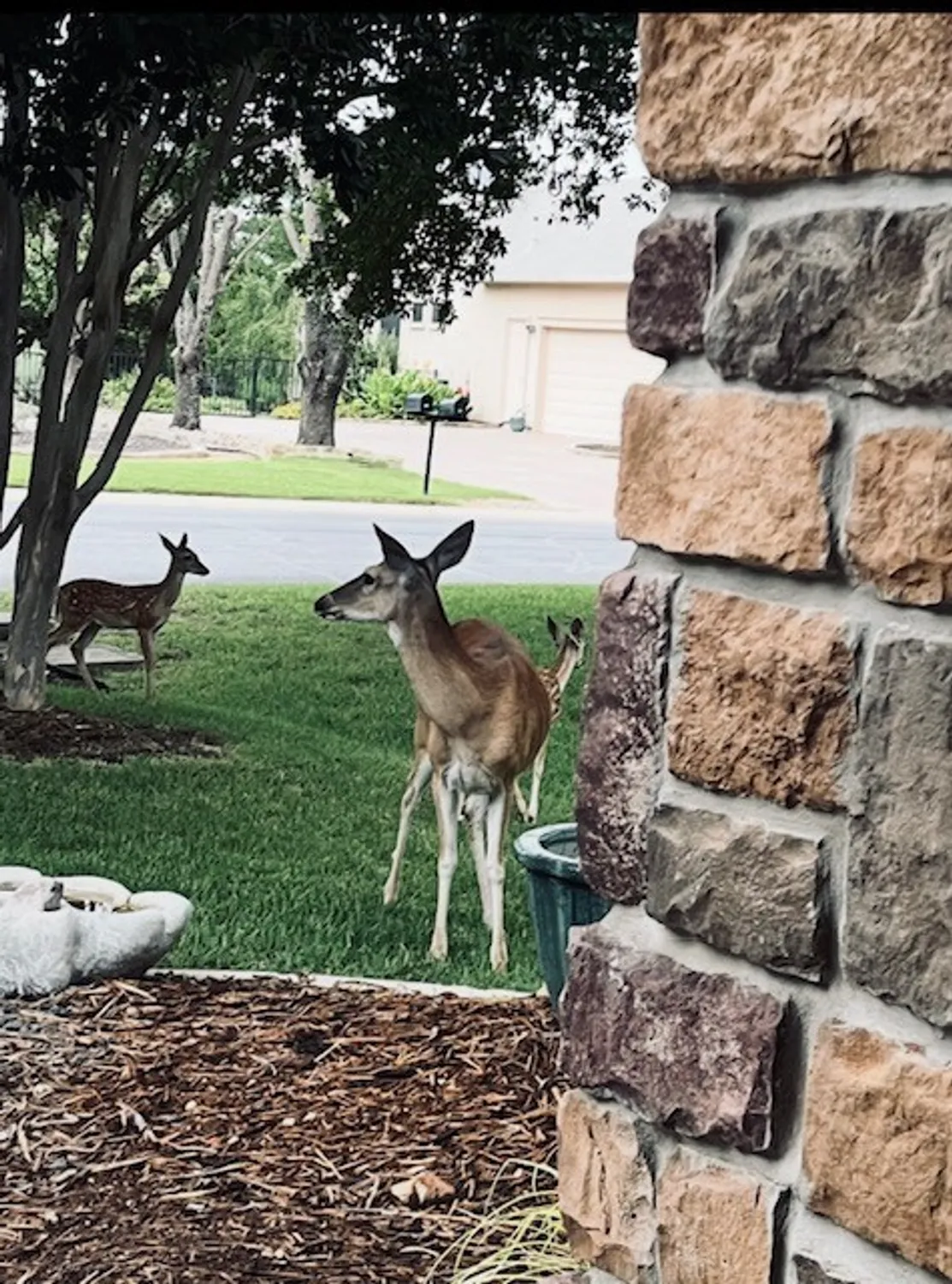 Property Slideshow image 7 of 32 | 503 dawson trl, Georgetown, TX, 78633