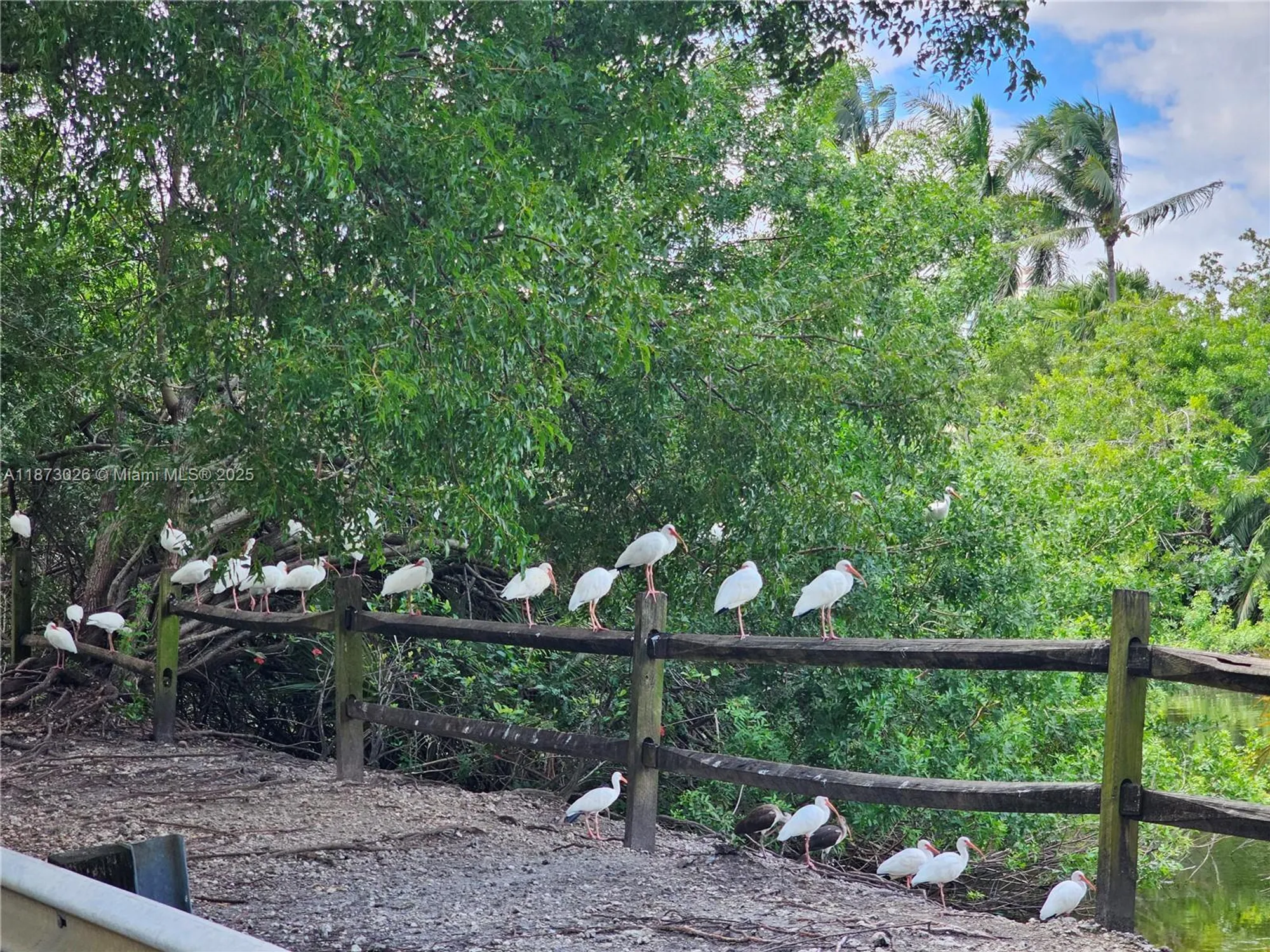 Property Slideshow image 11 of 22 | 20400 w country club dr apt 711, Aventura, FL, 33180