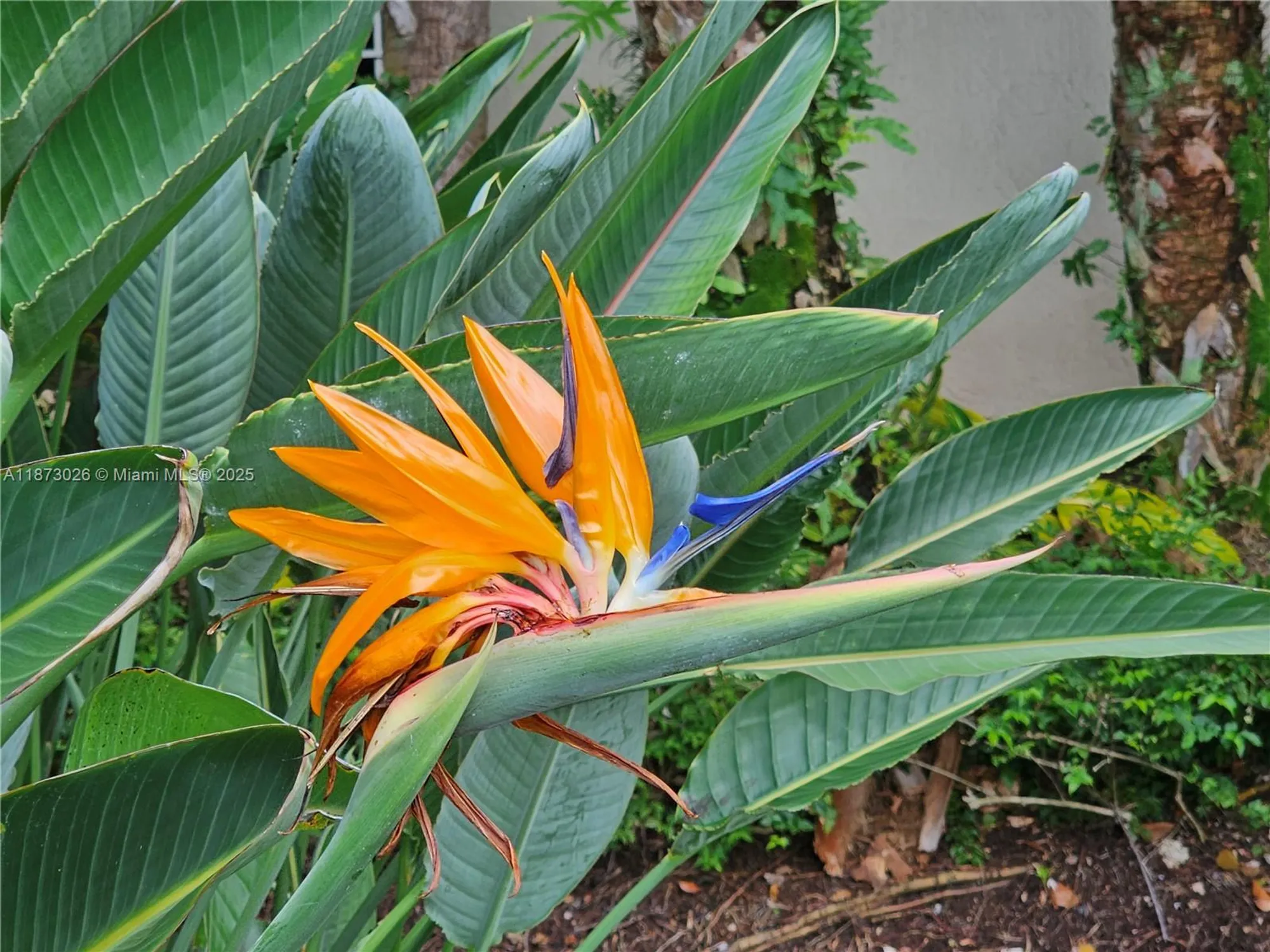 Property Slideshow image 13 of 22 | 20400 w country club dr apt 711, Aventura, FL, 33180