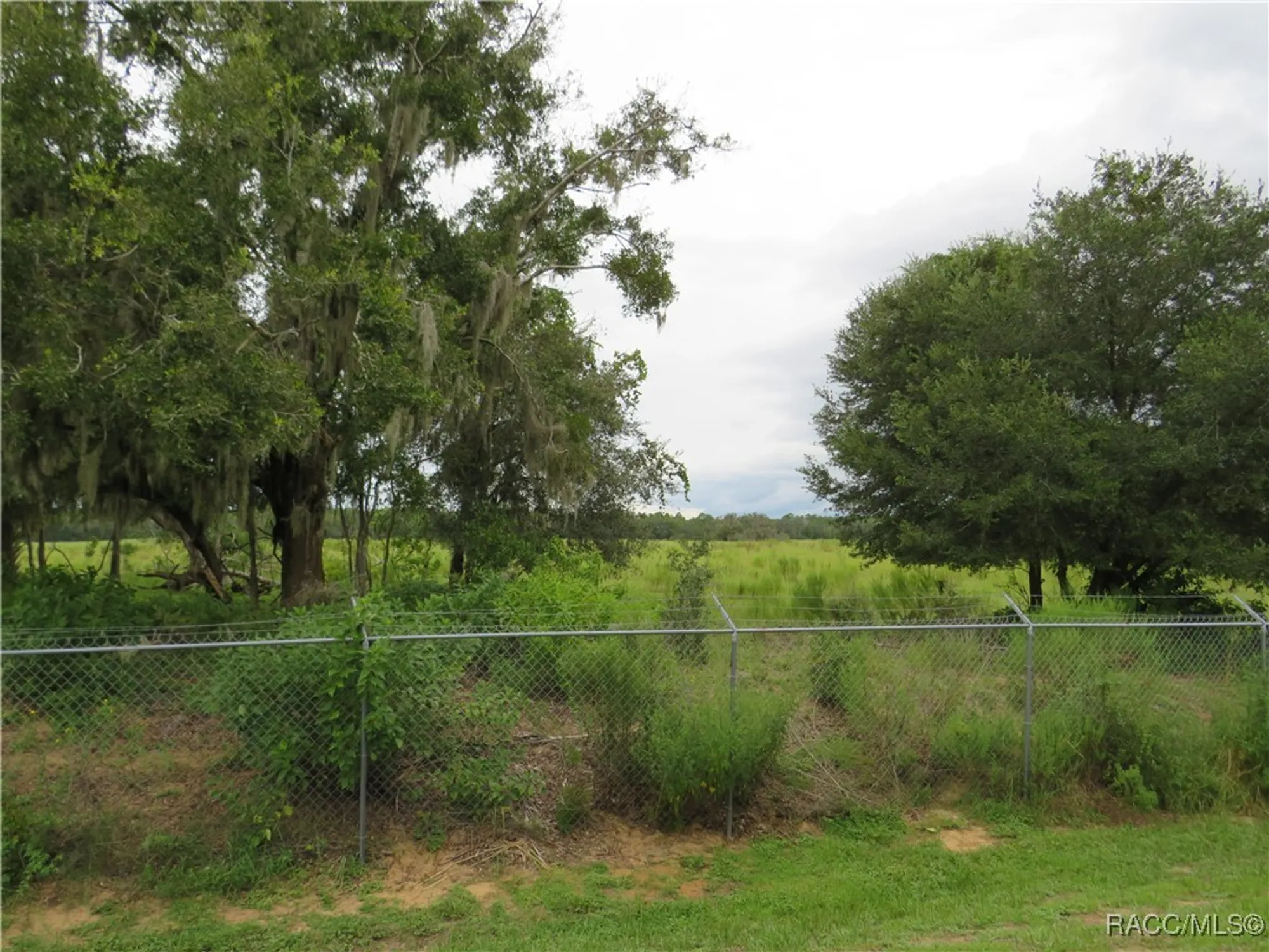 Property Slideshow image 27 of 39 | 10501 s drew bryant cir, Floral City, FL, 34436