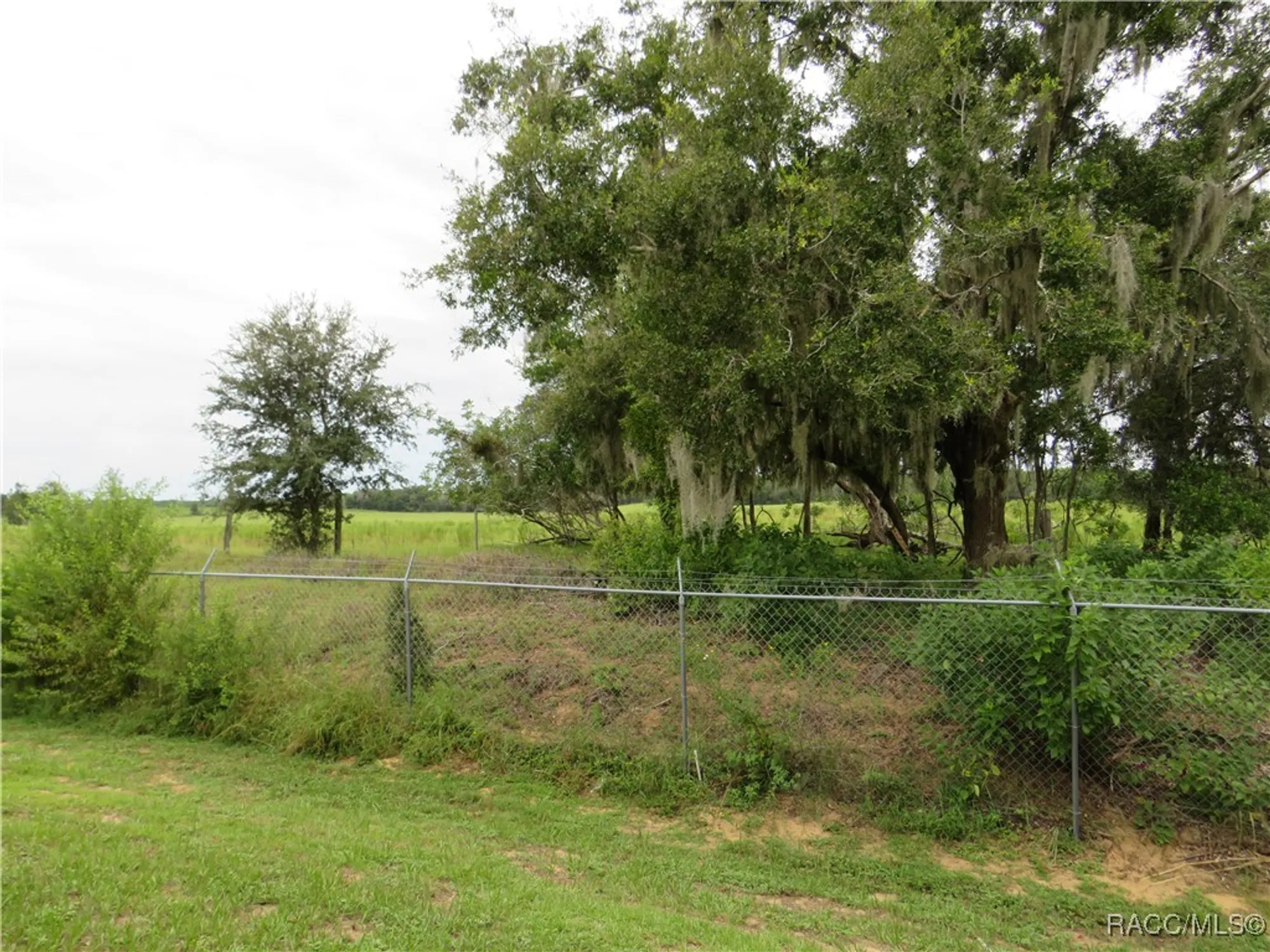 Property Slideshow image 28 of 39 | 10501 s drew bryant cir, Floral City, FL, 34436