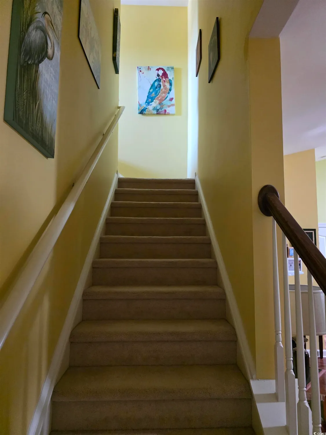 Property Slideshow image 5 of 30 | 1575 berkshire ave, Myrtle Beach, SC, 29577