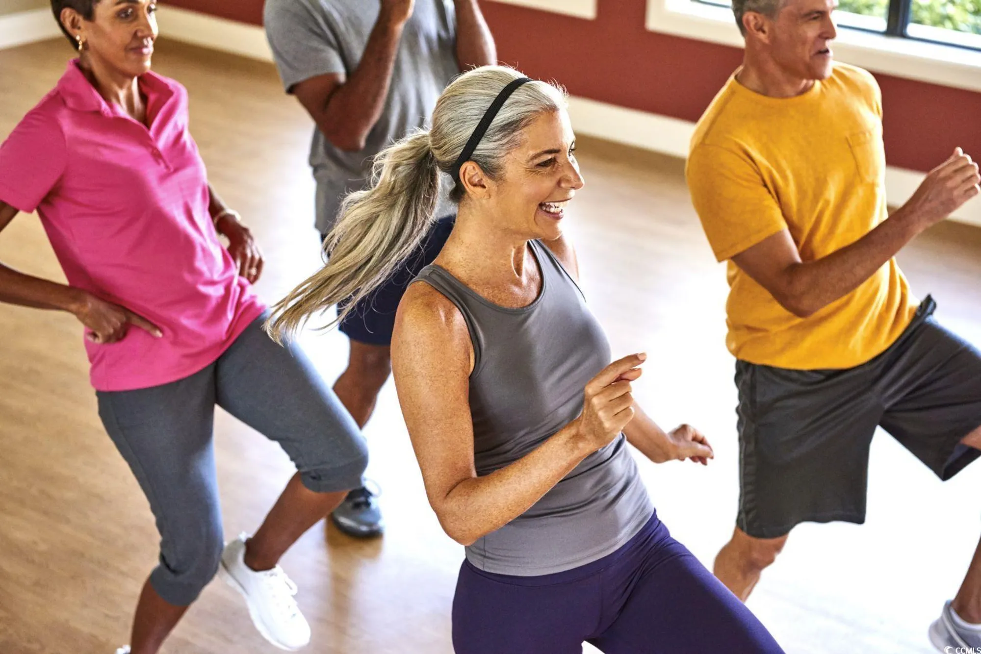 Property Slideshow image 27 of 33 | 1125 lady bird way, North Myrtle Beach, SC, 29582