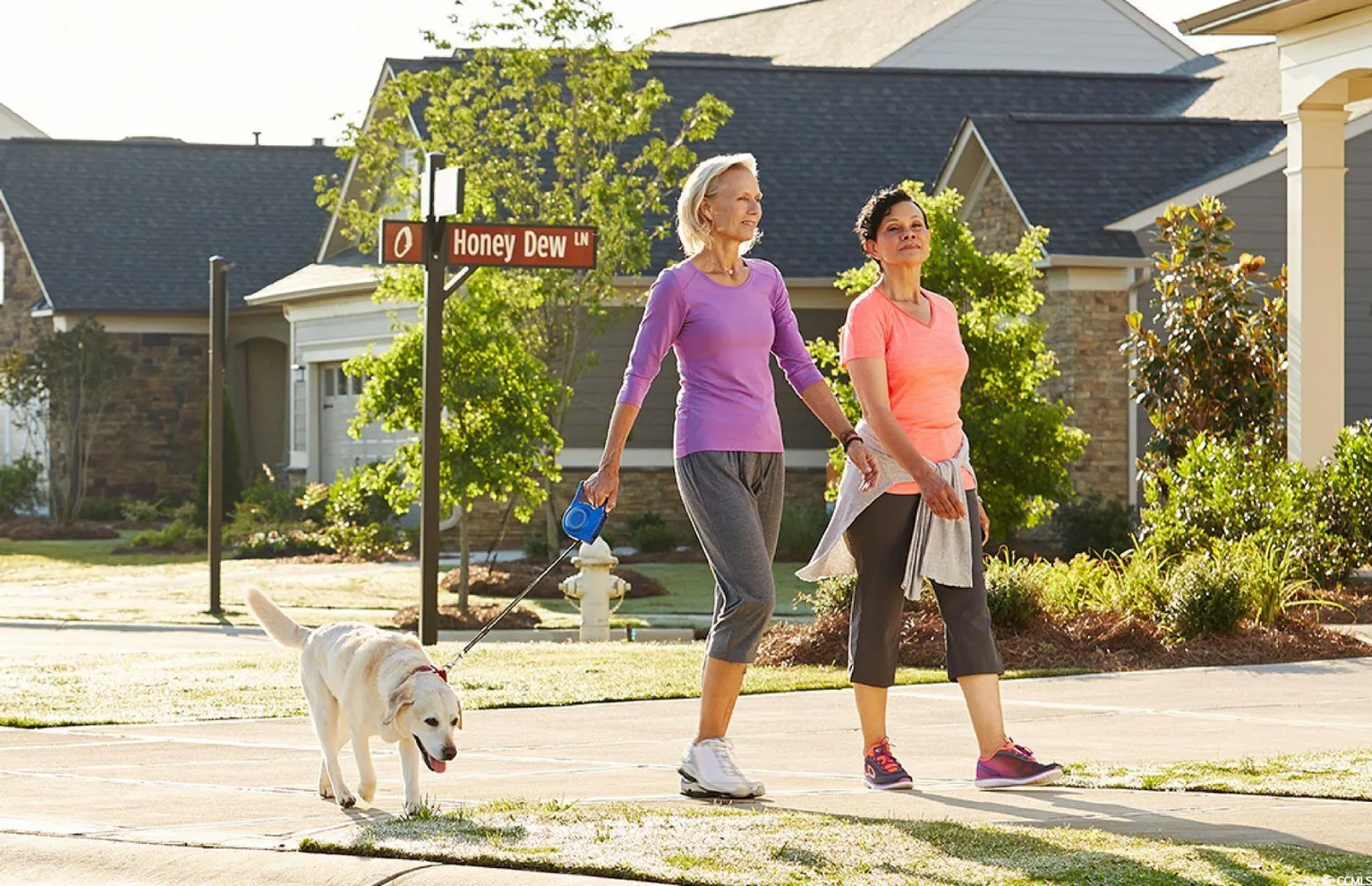 Property Slideshow image 26 of 40 | 1129 lady bird way, North Myrtle Beach, SC, 29582