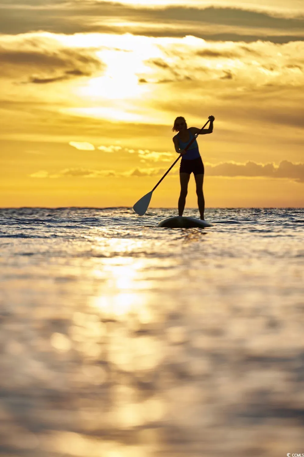 Property Slideshow image 36 of 40 | 1129 lady bird way, North Myrtle Beach, SC, 29582
