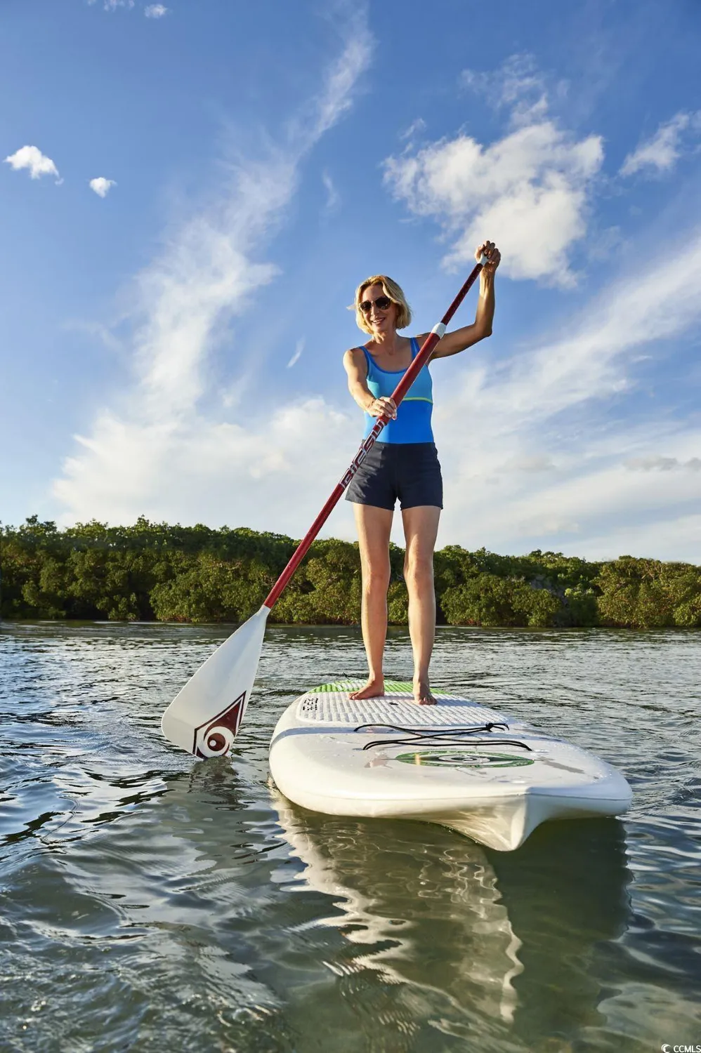 Property Slideshow image 31 of 40 | 1129 lady bird way, North Myrtle Beach, SC, 29582