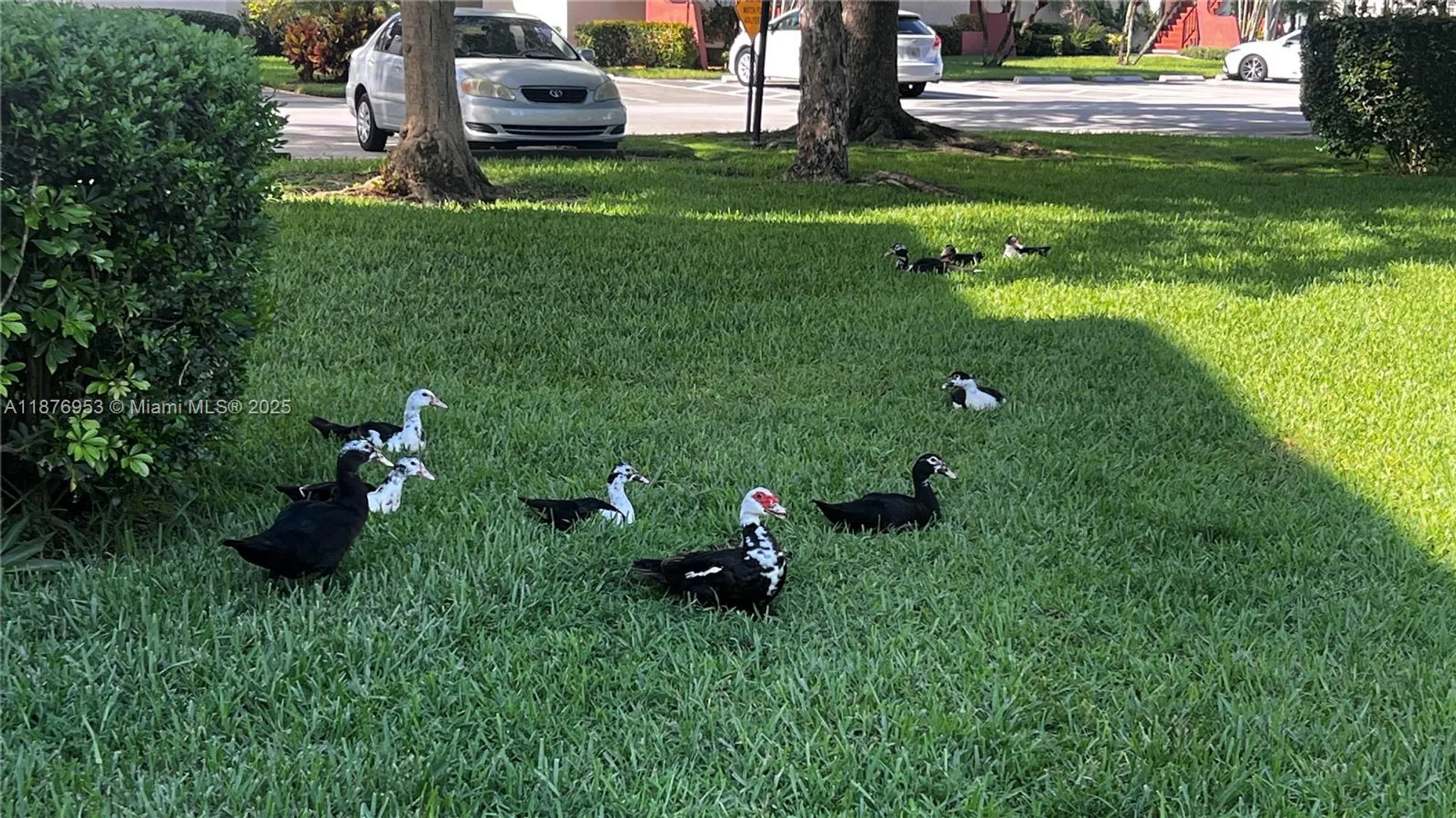 Property Slideshow image 41 of 42 | 671 s hollybrook dr 302, Pembroke Pines, FL, 33025