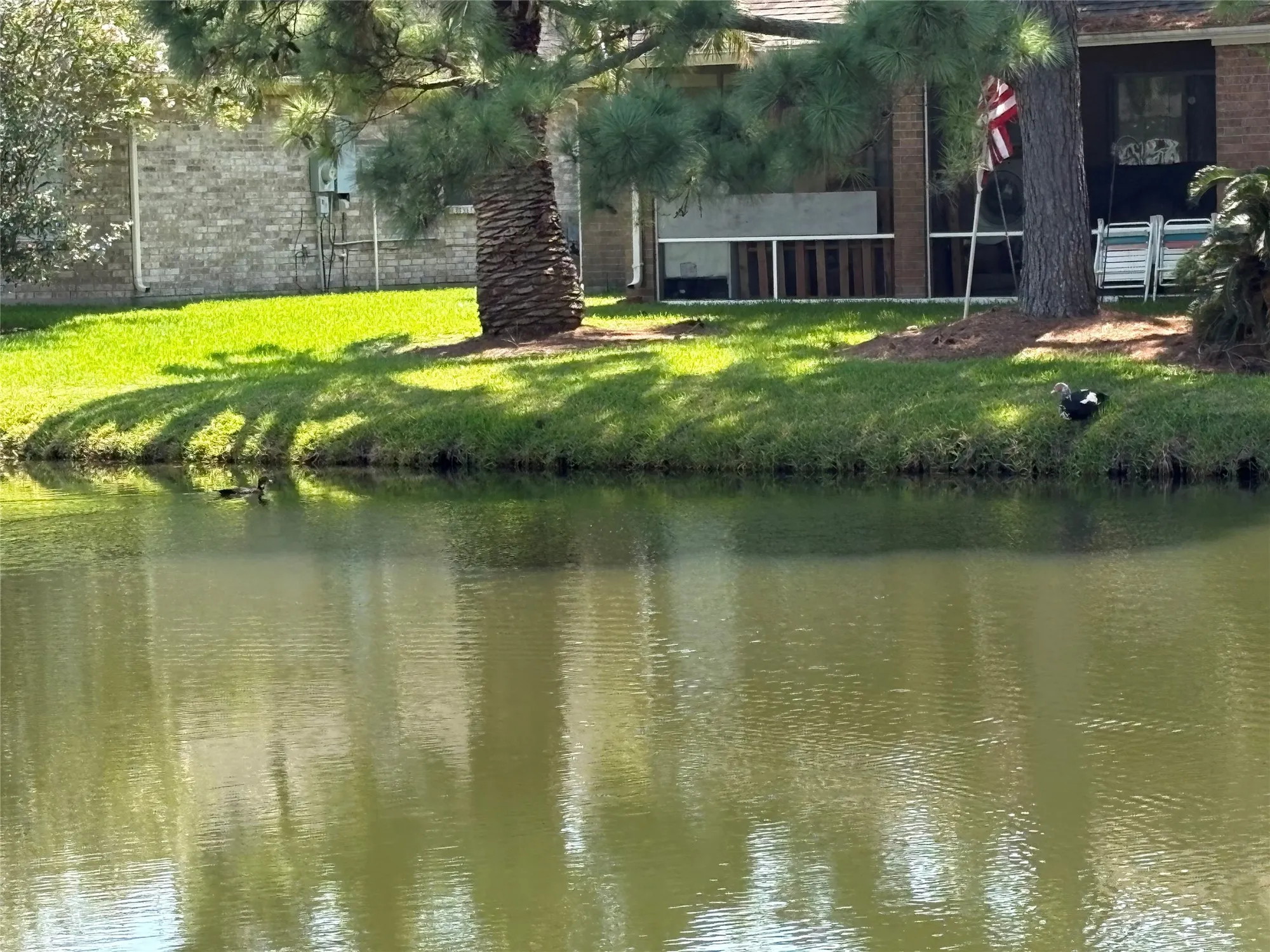 Property Slideshow image 28 of 28 | 3526 teakwood dr, Pearland, TX, 77584