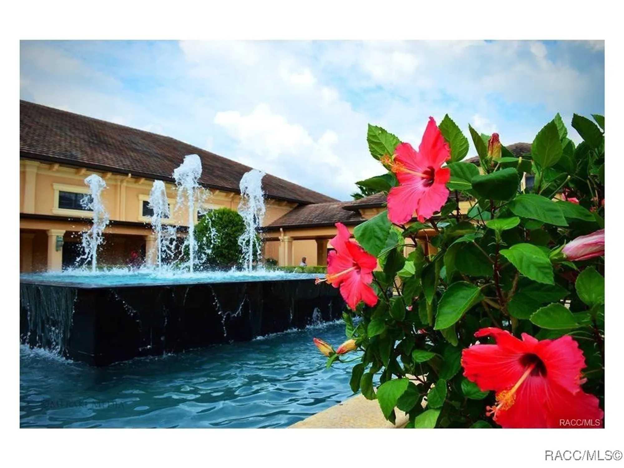 Property Slideshow image 51 of 51 | 1698 w spring meadow loop, Lecanto, FL, 34461