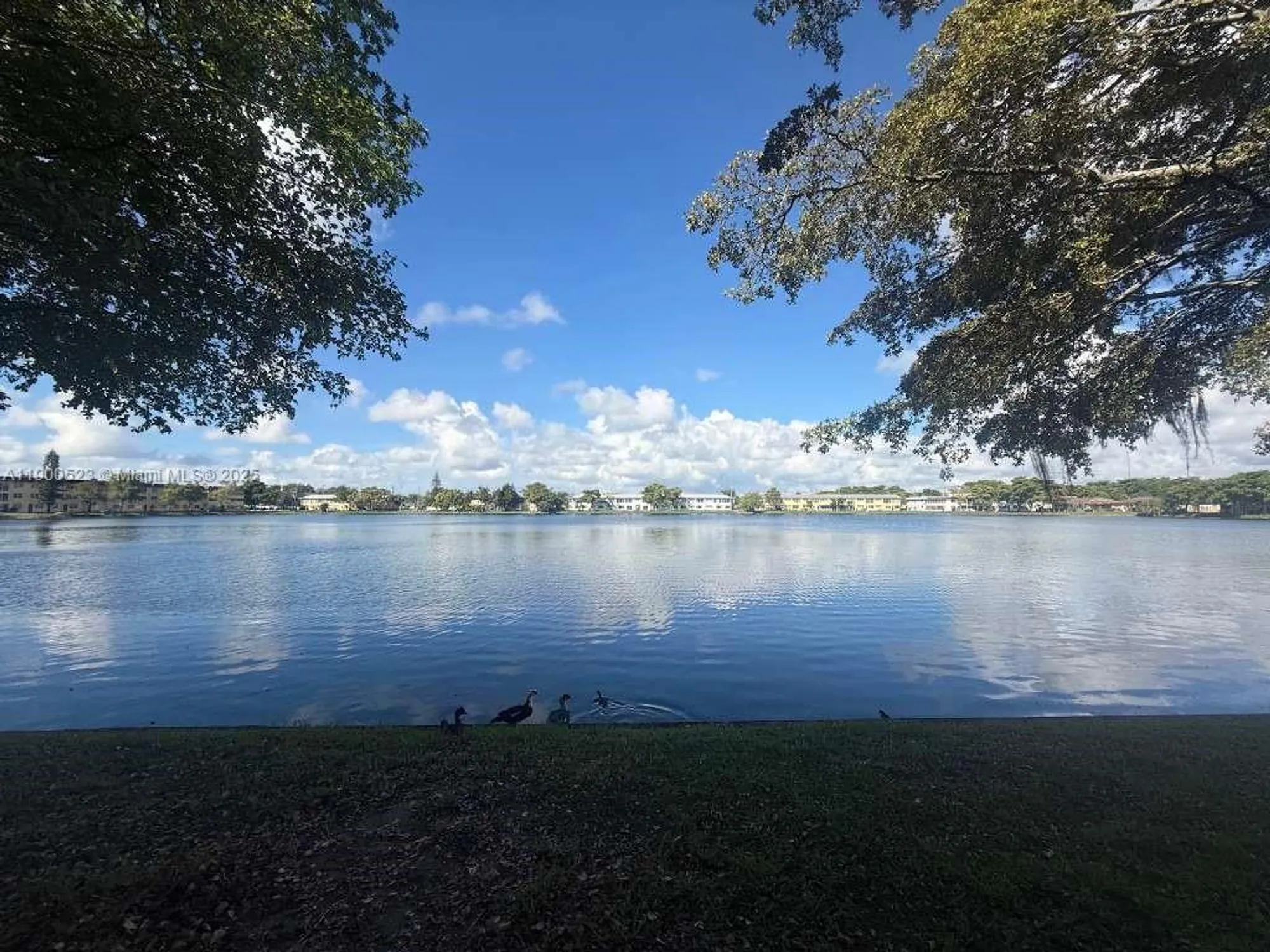 Property Slideshow image 18 of 18 | 18900 ne 3rd ct apt 509, Miami, FL, 33179