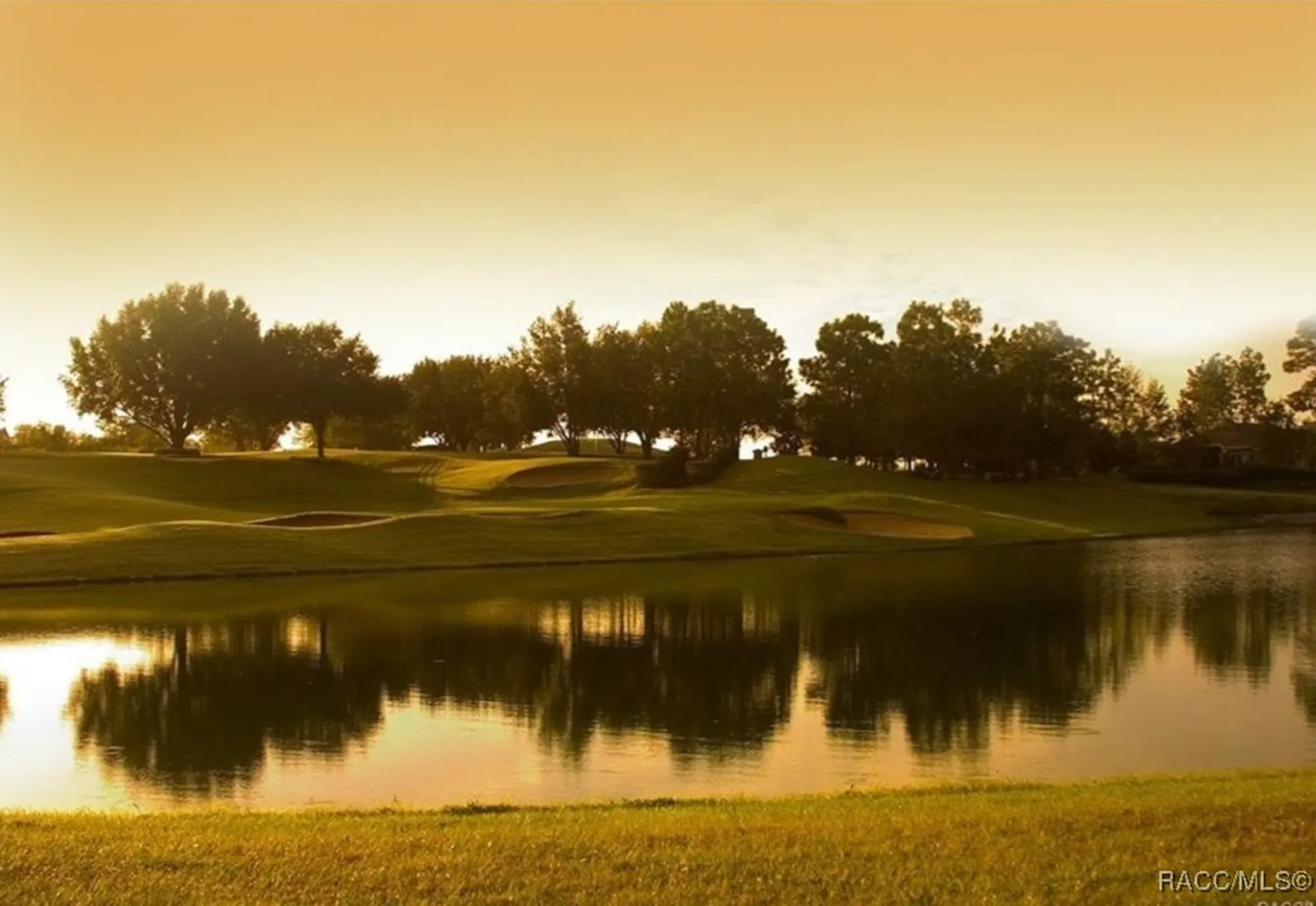 Property Slideshow image 42 of 45 | 1874 w angelica loop, Lecanto, FL, 34461