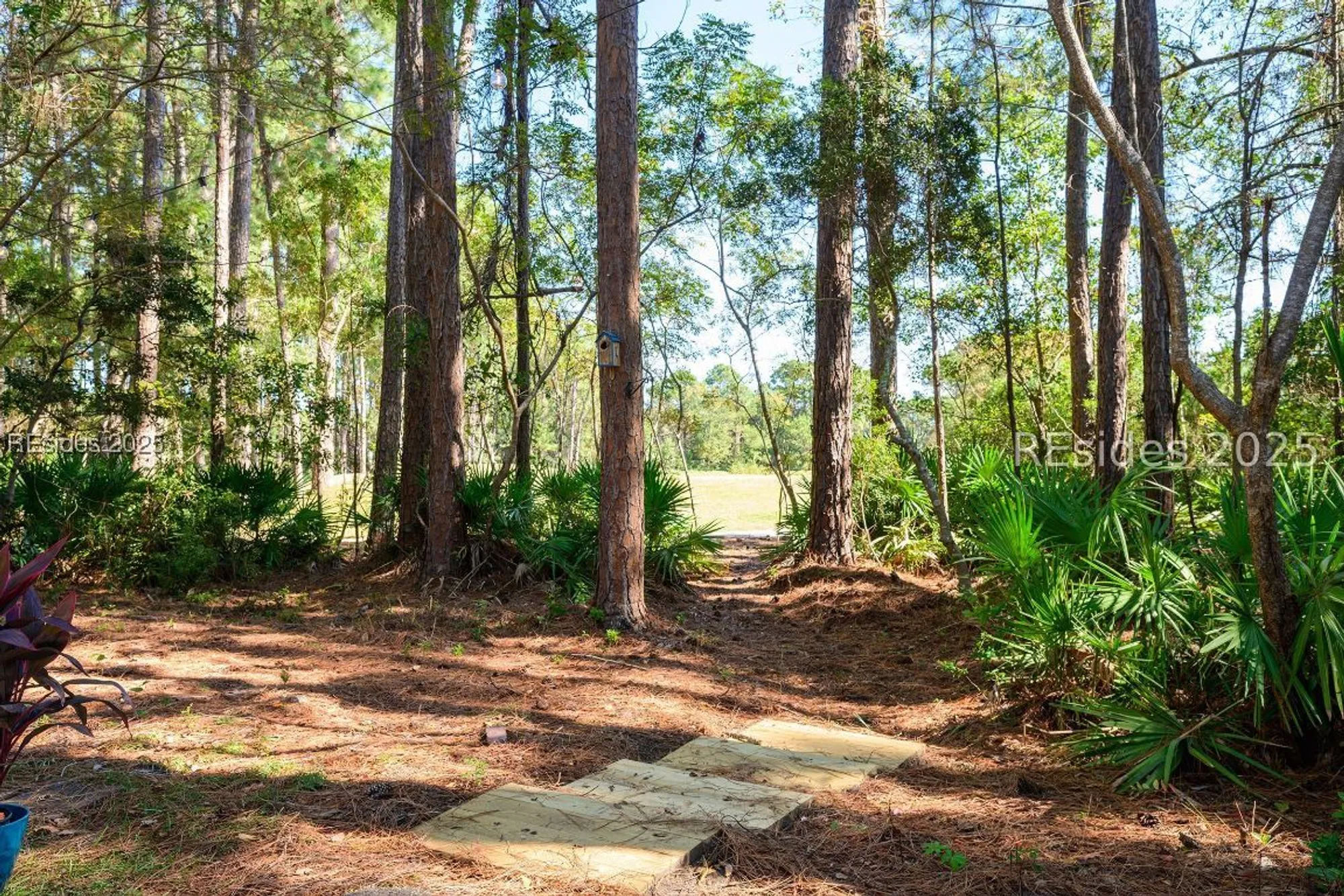 Property Slideshow image 36 of 36 | 7 whispering pines ct, Hilton Head Island, SC, 29926