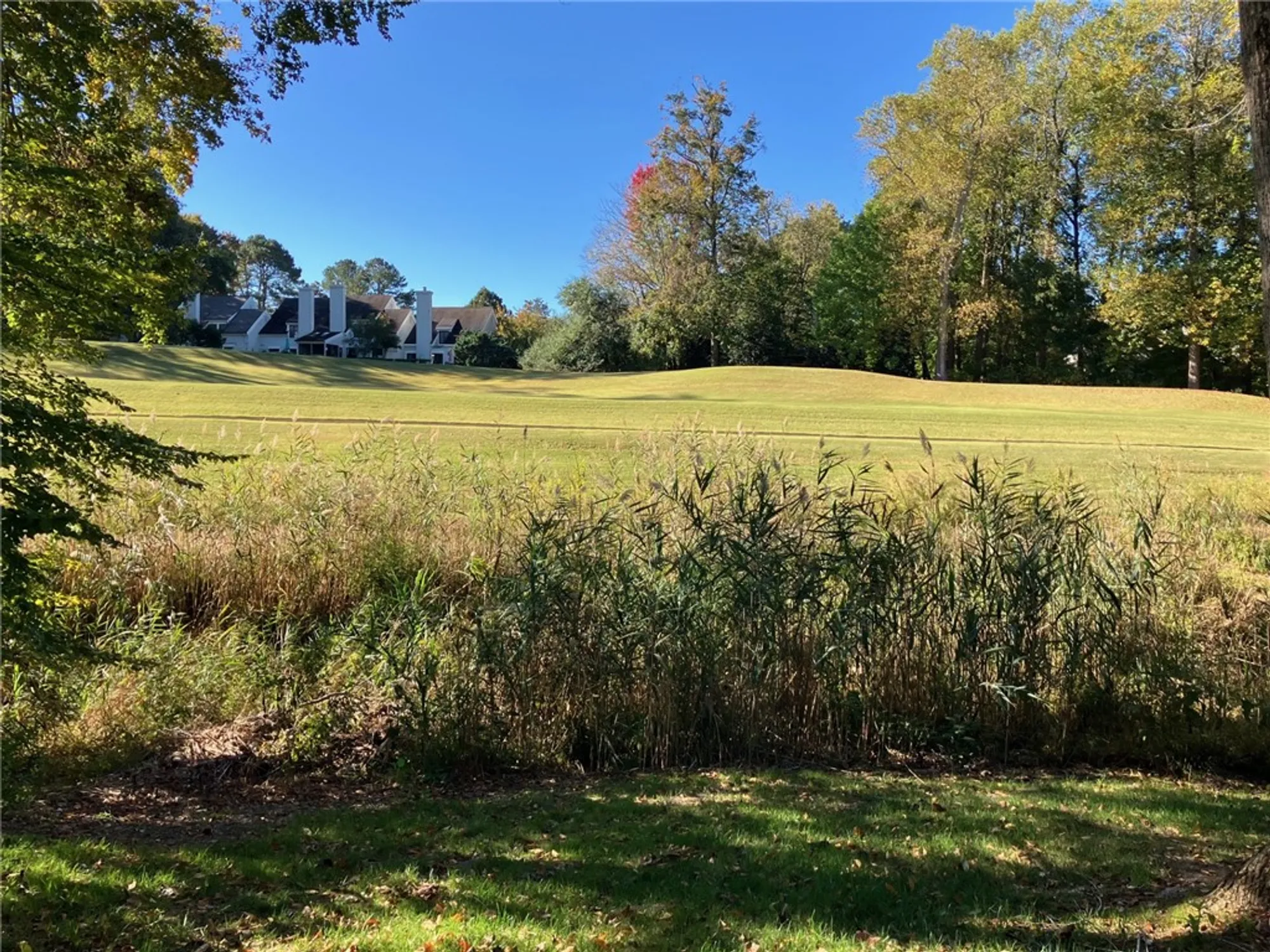 Property Slideshow image 7 of 8 | 14 bray wood rd, Williamsburg, VA, 23185
