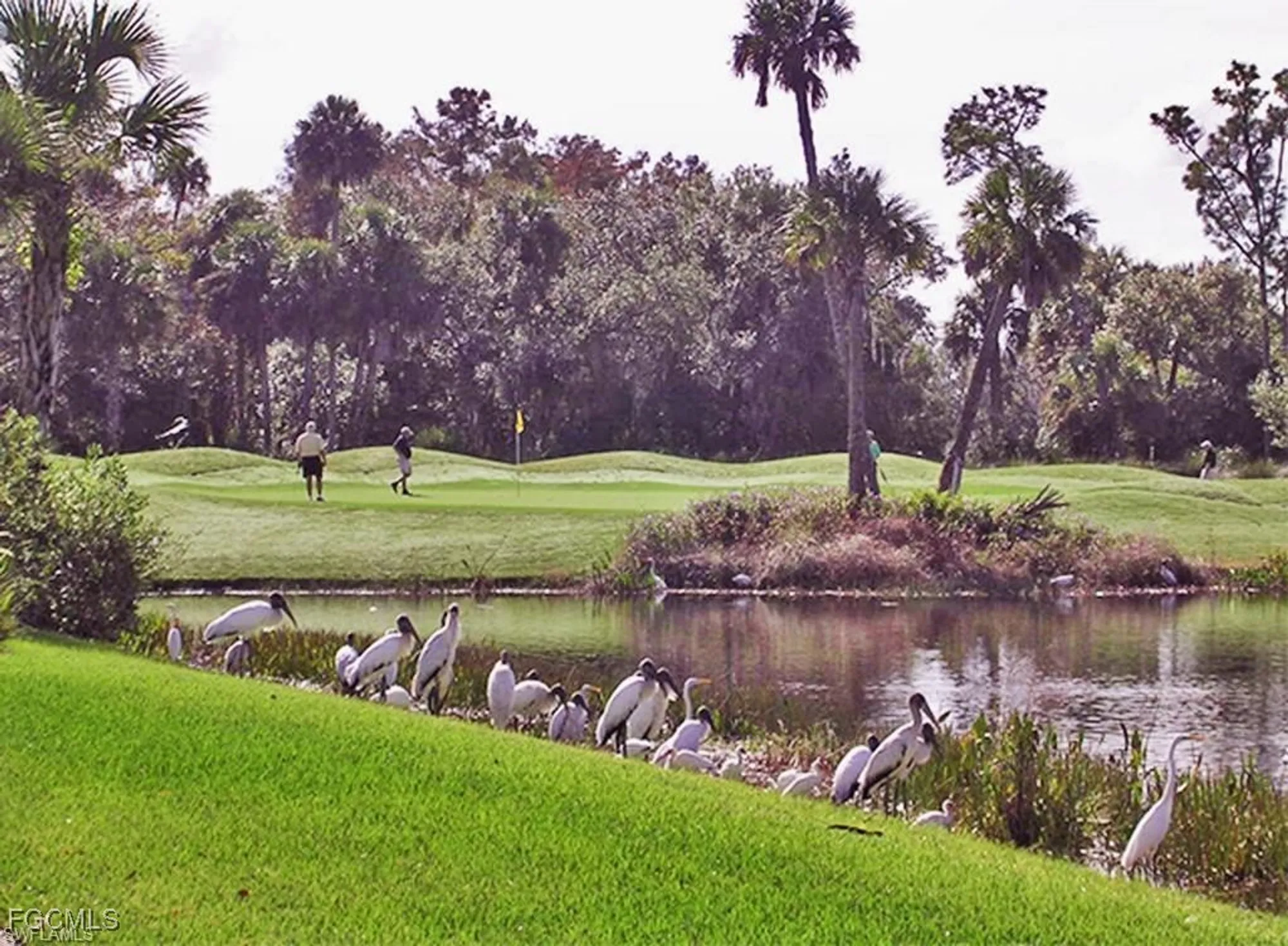 Property Slideshow image 35 of 49 | 2999 willow ridge ct, Fort Myers, FL, 33905