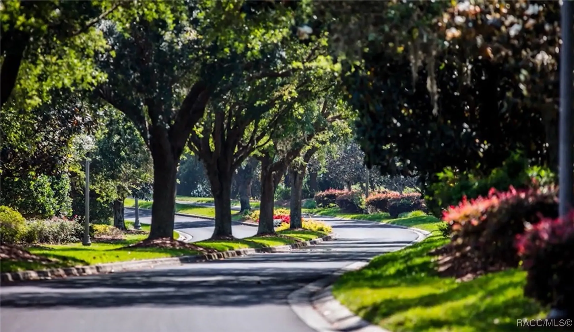 Property Slideshow image 72 of 91 | 1045 w rollingwood ct, Hernando, FL, 34442
