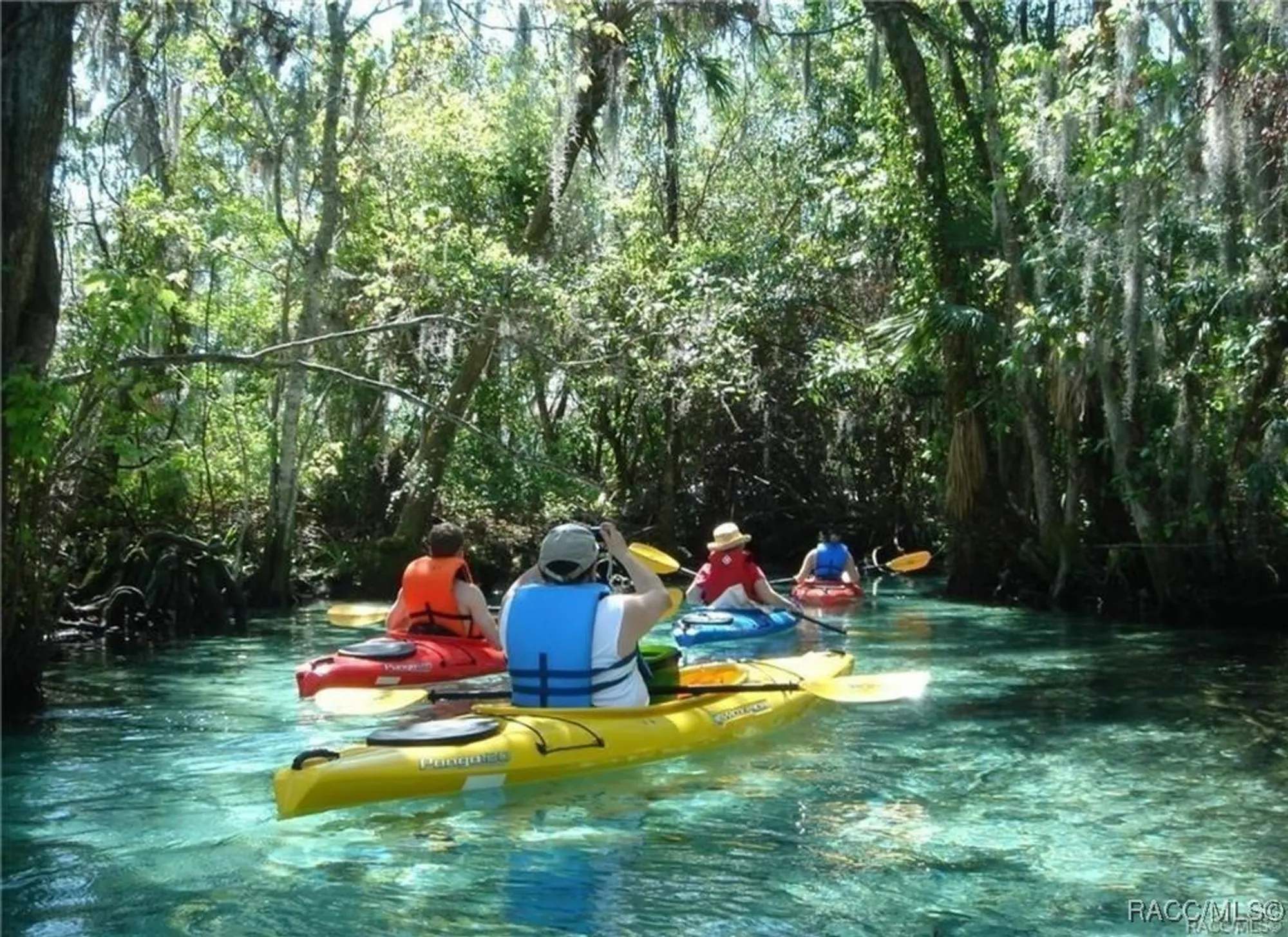Property Slideshow image 58 of 60 | 2344 n andrea pt, Lecanto, FL, 34461