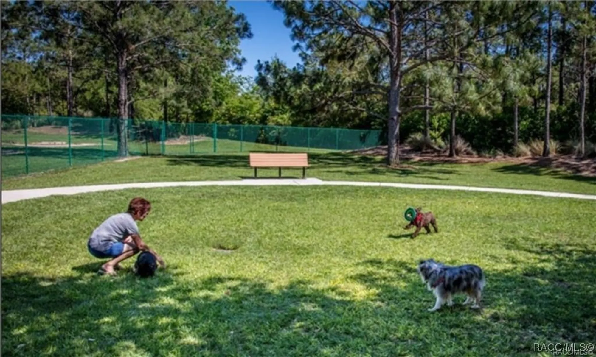 Property Slideshow image 52 of 60 | 2344 n andrea pt, Lecanto, FL, 34461