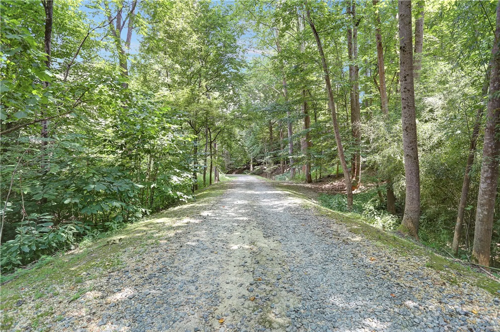 Property Slideshow image 41 of 46 | 502 richmonds ordinary, Williamsburg, VA, 23185