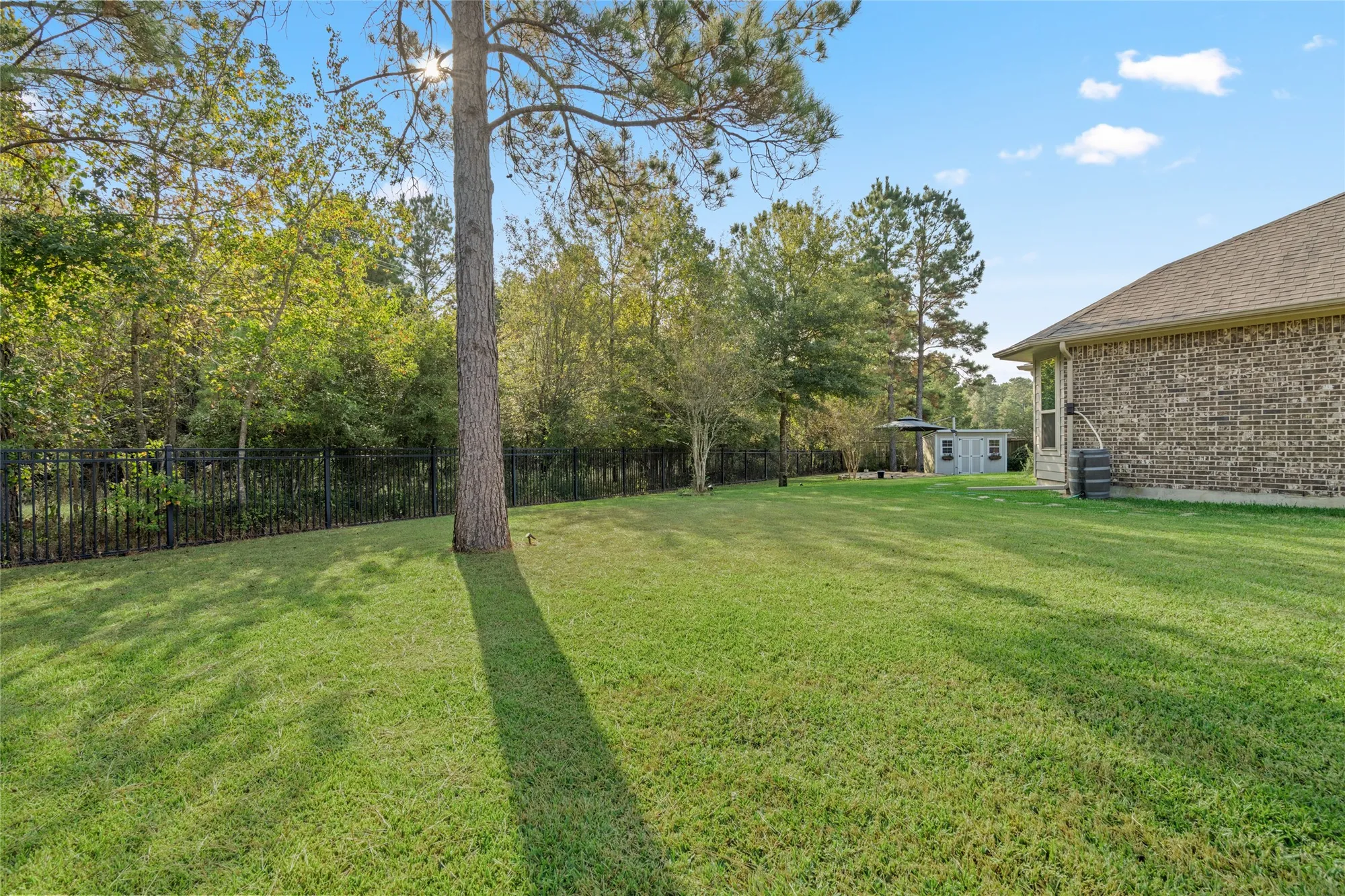 Property Slideshow image 25 of 30 | 106 wild wisteria pl, Montgomery, TX, 77316