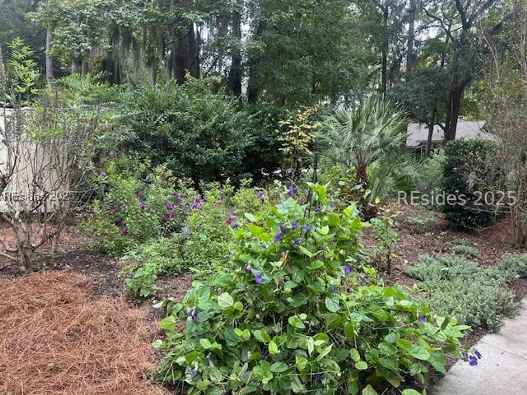 Property Slideshow image 17 of 17 | 3 reflection cove ct, Hilton Head Island, SC, 29926