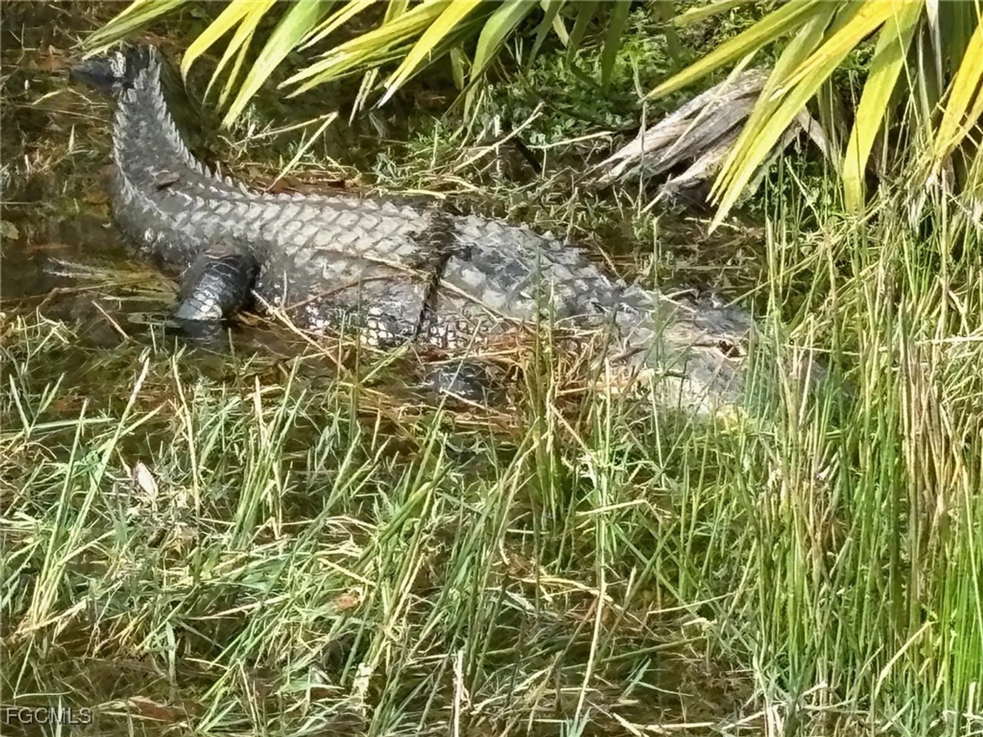 Property Slideshow image 36 of 41 | 9225 aviano dr, Fort Myers, FL, 33913