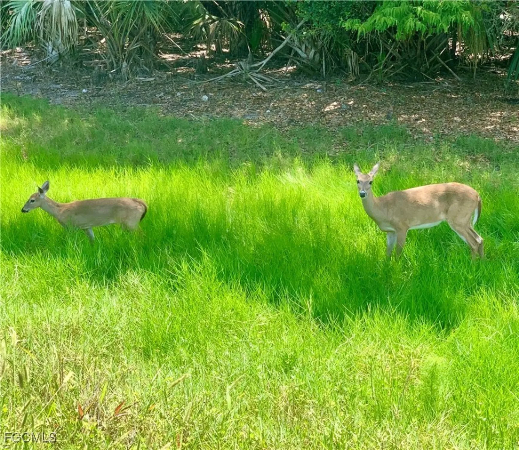 Property Slideshow image 33 of 41 | 9225 aviano dr, Fort Myers, FL, 33913