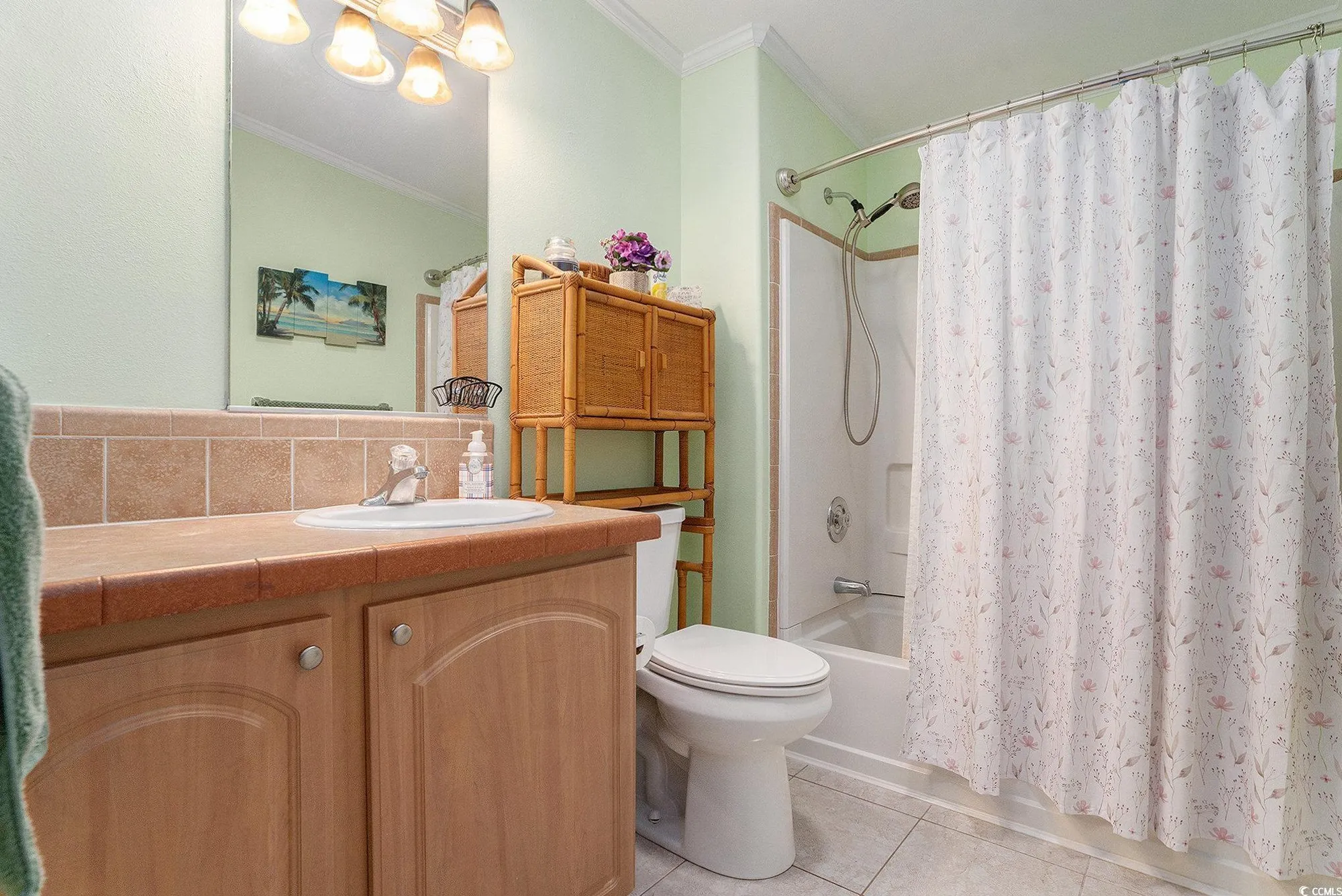 Property Slideshow image 21 of 31 | 253 wellspring dr, Conway, SC, 29526
