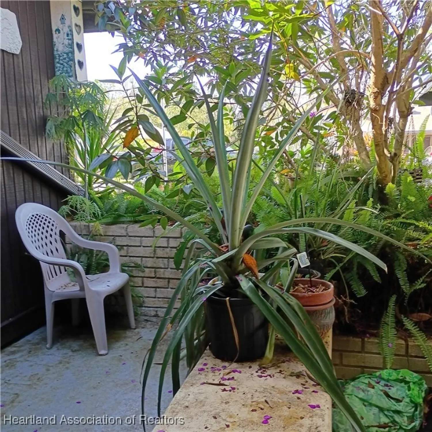 Property Slideshow image 3 of 12 | 41 jasmine st, Lake Placid, FL, 33852