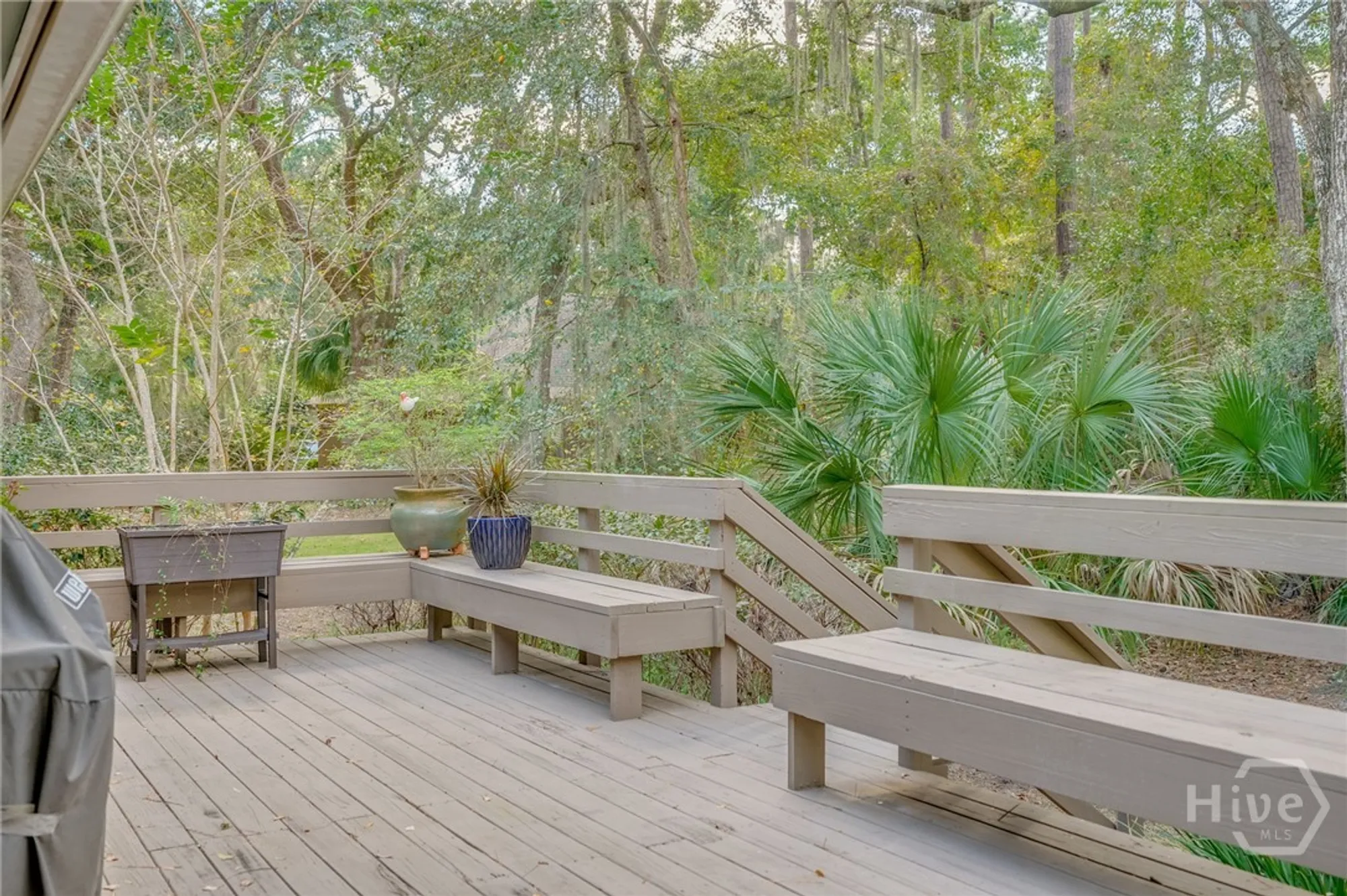 Property Slideshow image 29 of 40 | 5 pelham rd, Savannah, GA, 31411