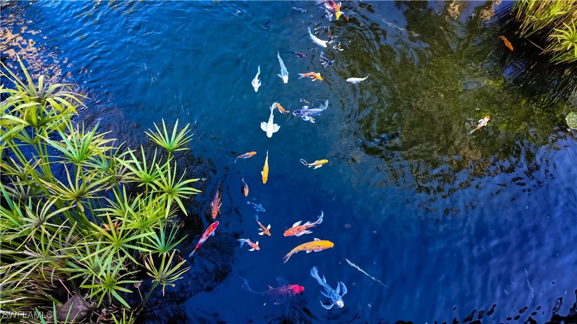 Property Slideshow image 28 of 33 | 8169 via vecchia, Naples, FL, 34108