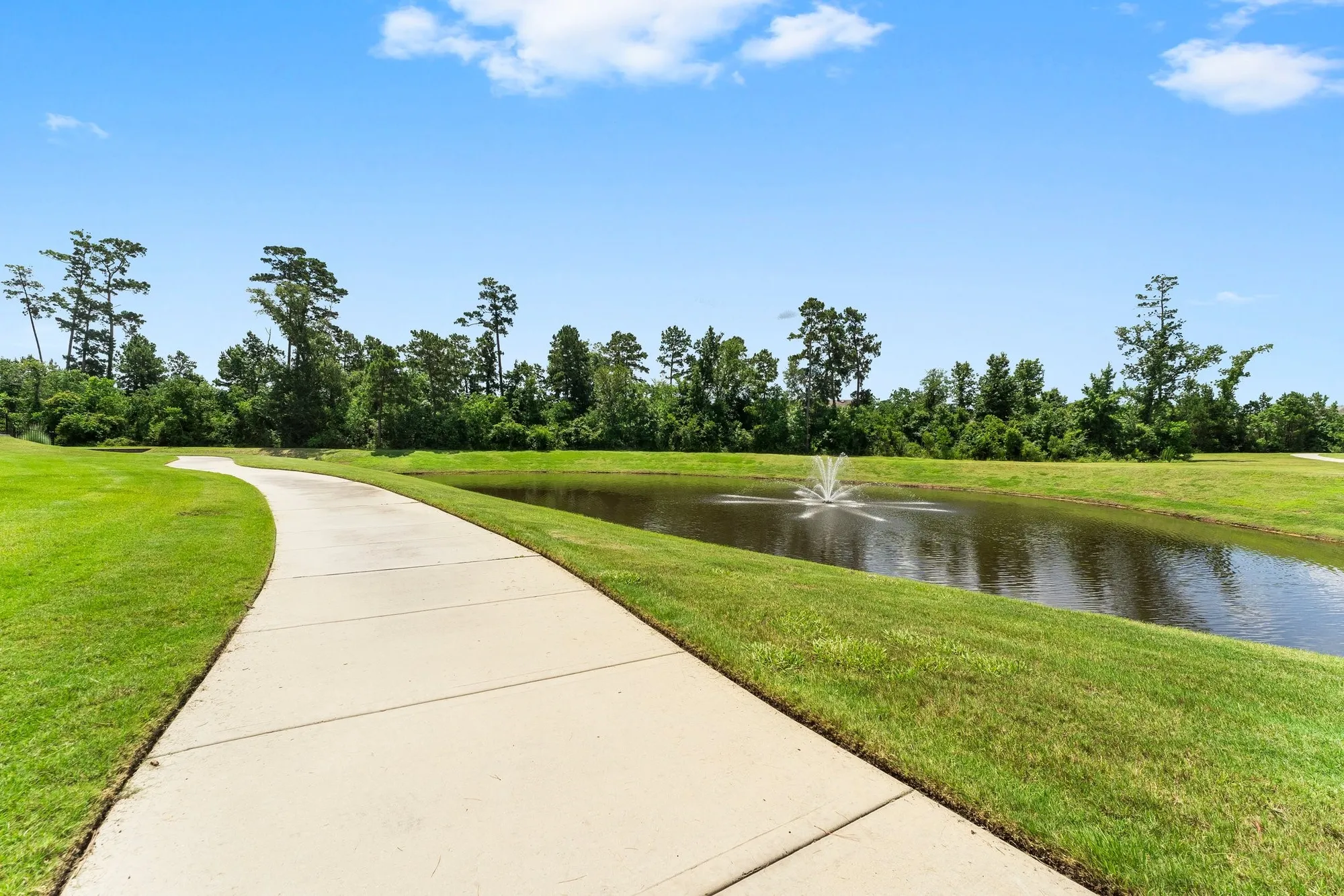 Property Slideshow image 42 of 42 | 242 flaxen chestnut, Spring, TX, 77382
