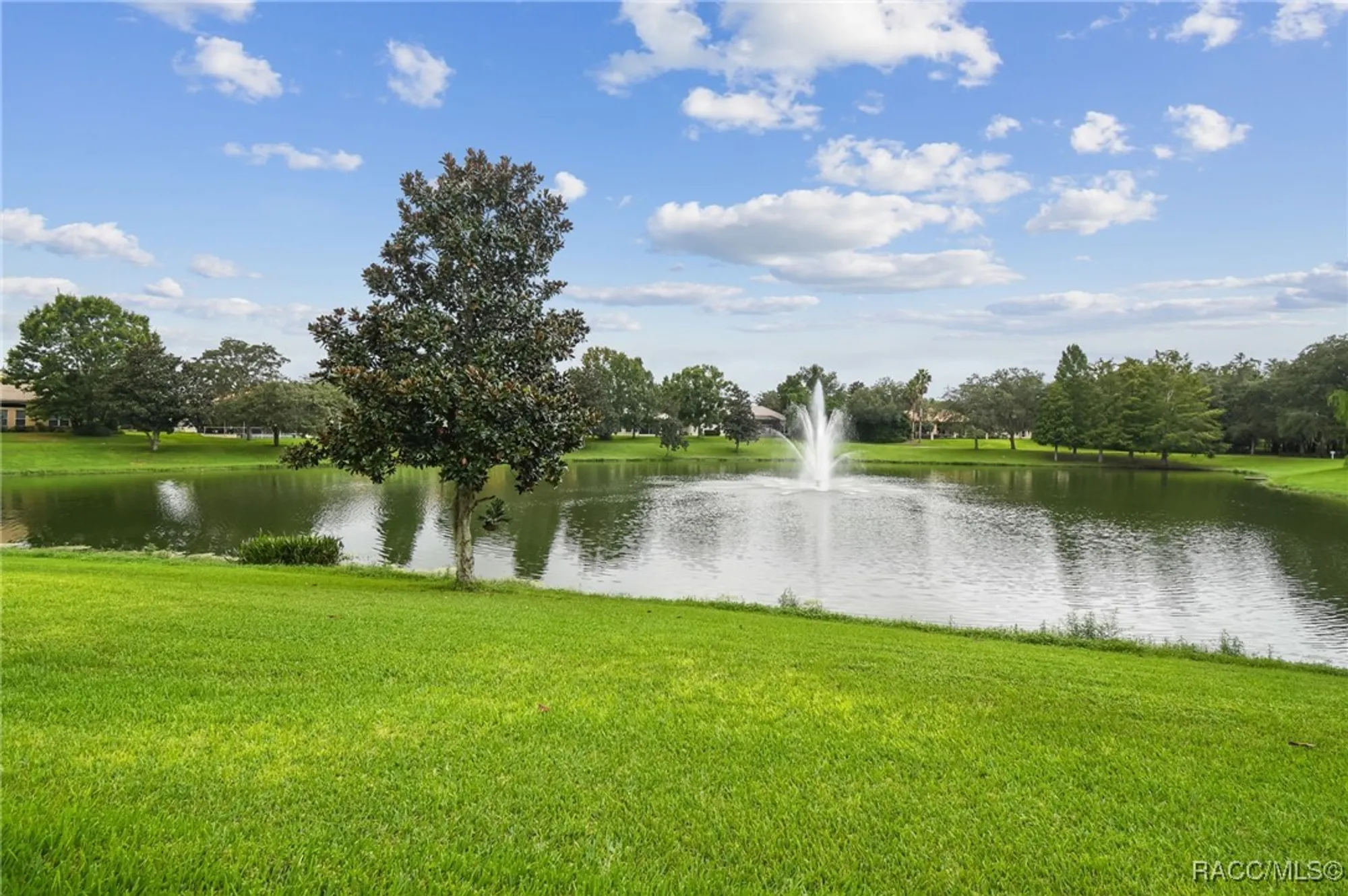 Property Slideshow image 4 of 83 | 1049 w lake valley ct, Hernando, FL, 34442