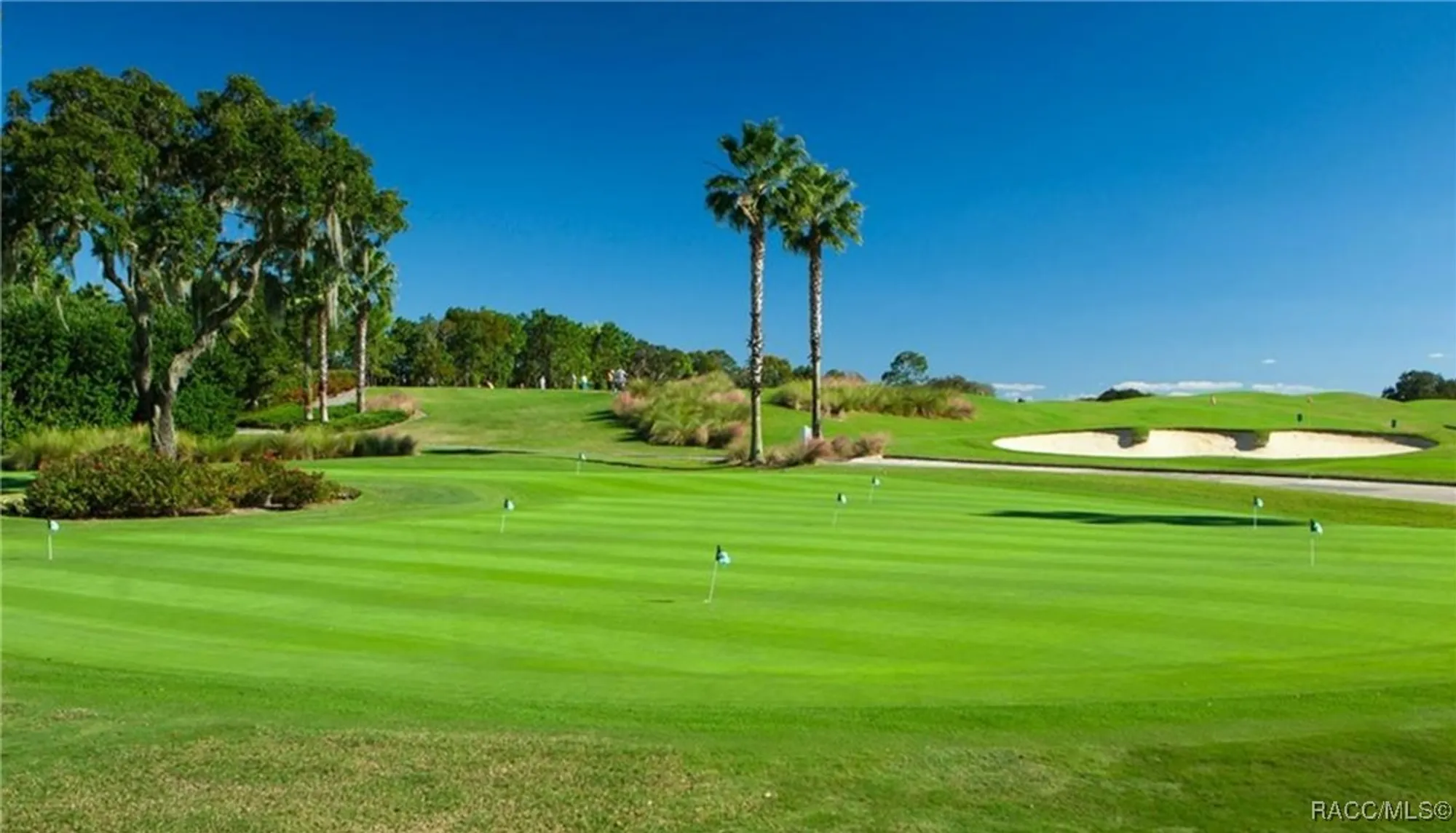 Property Slideshow image 68 of 93 | 785 n hunt club dr, Hernando, FL, 34442