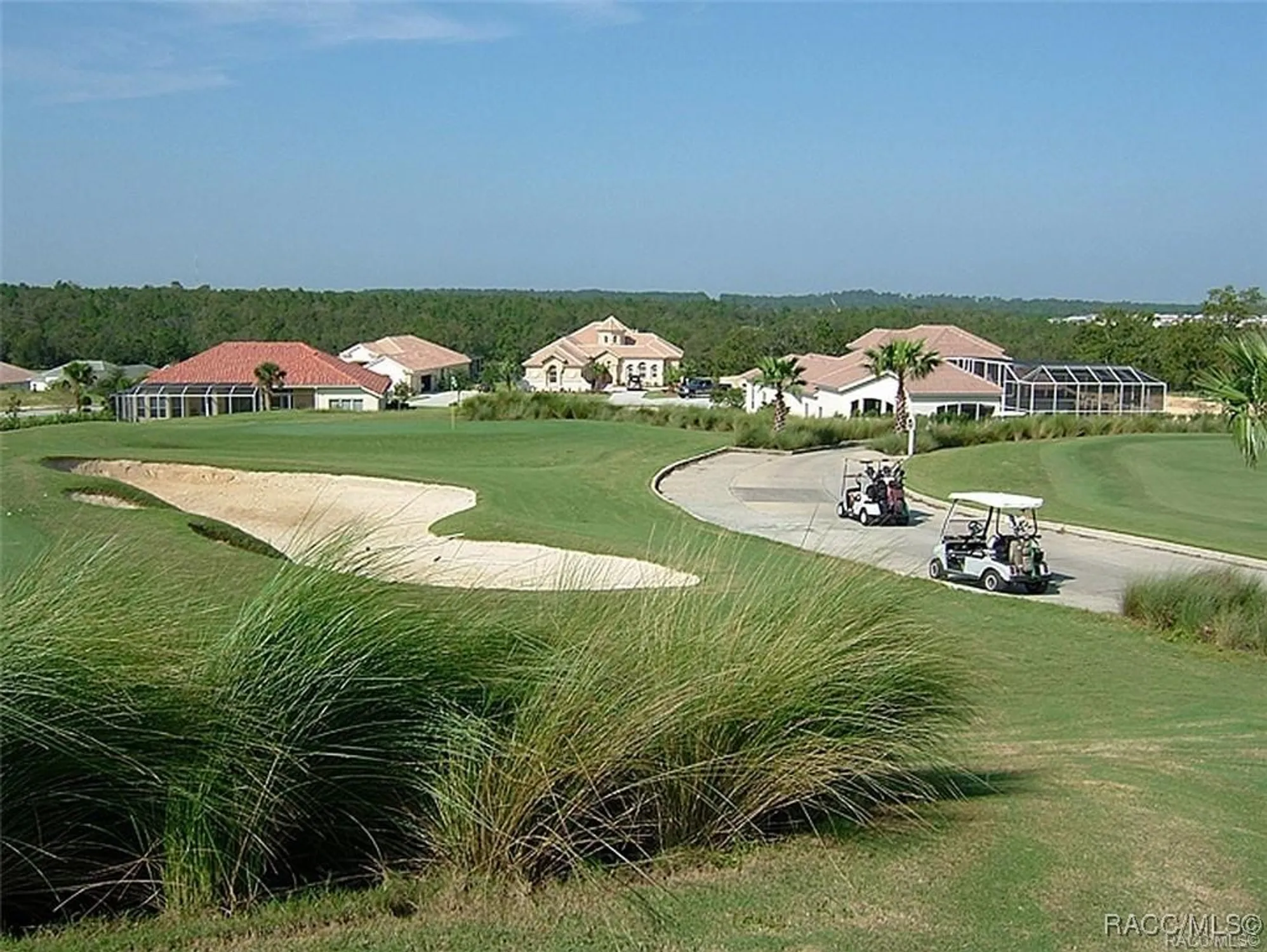 Property Slideshow image 80 of 100 | 2132 n buttonwood loop, Hernando, FL, 34442