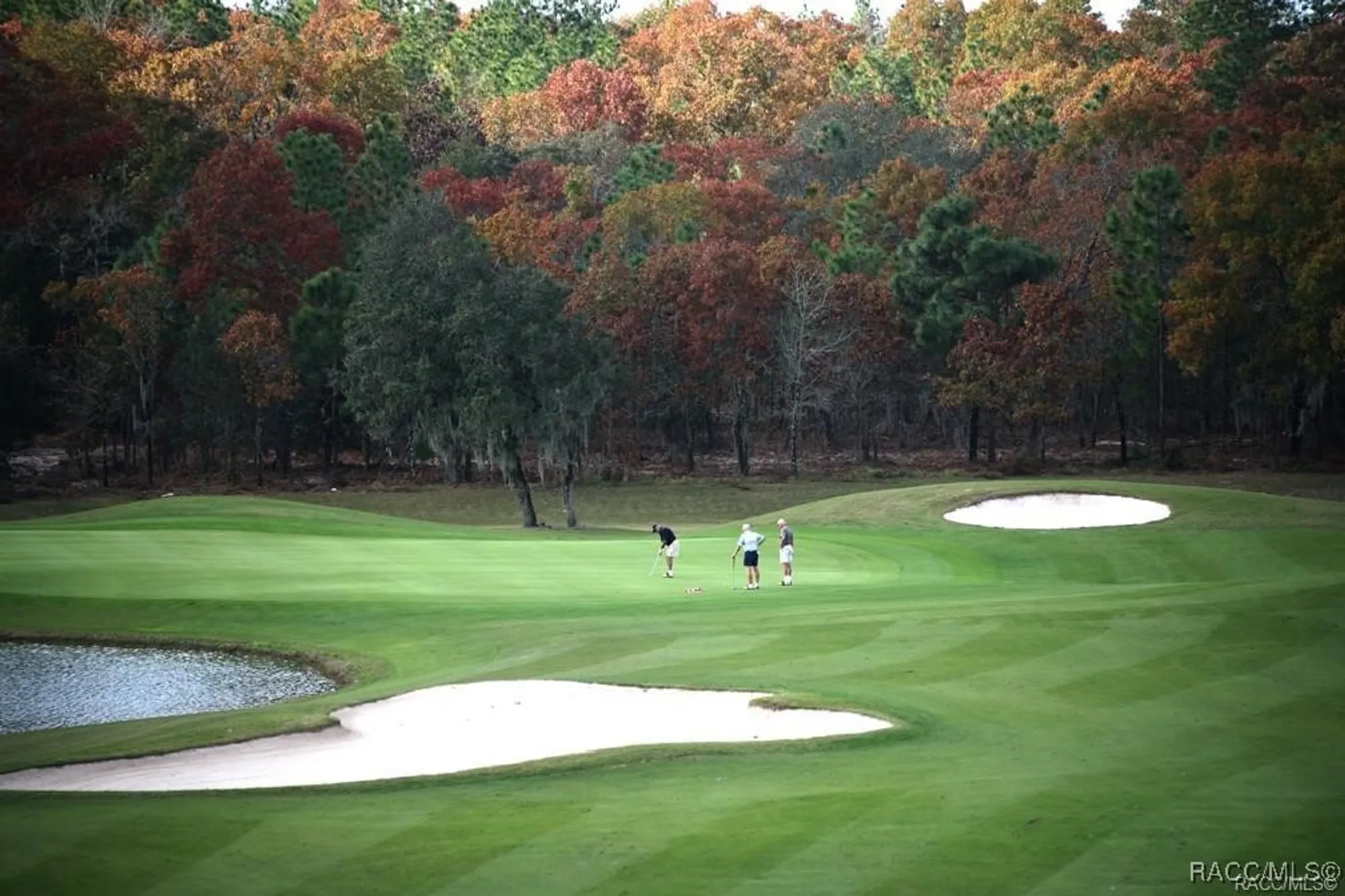 Property Slideshow image 81 of 100 | 2132 n buttonwood loop, Hernando, FL, 34442