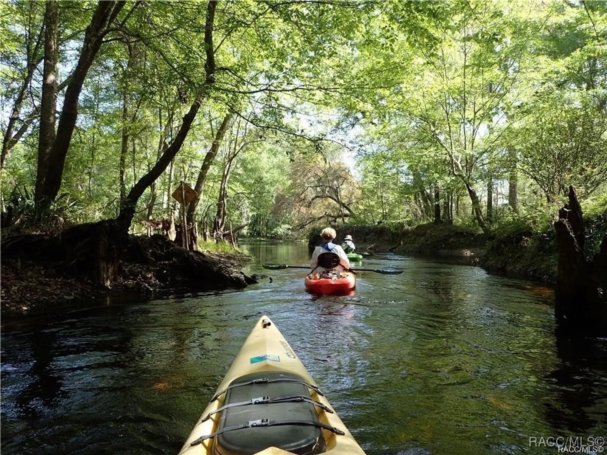 Property Slideshow image 98 of 100 | 2132 n buttonwood loop, Hernando, FL, 34442