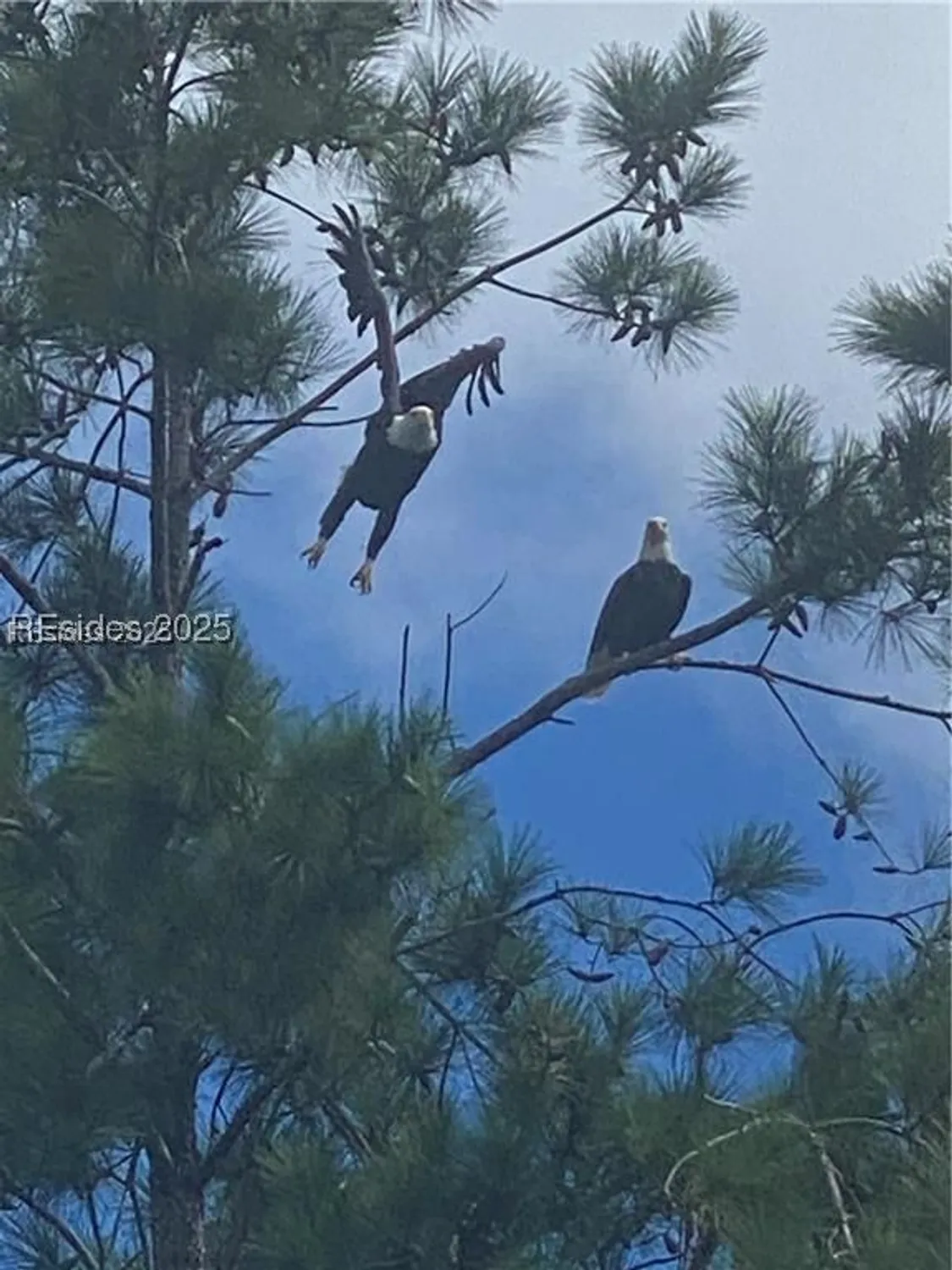 Property Slideshow image 61 of 65 | 604 flatwater dr, Bluffton, SC, 29910