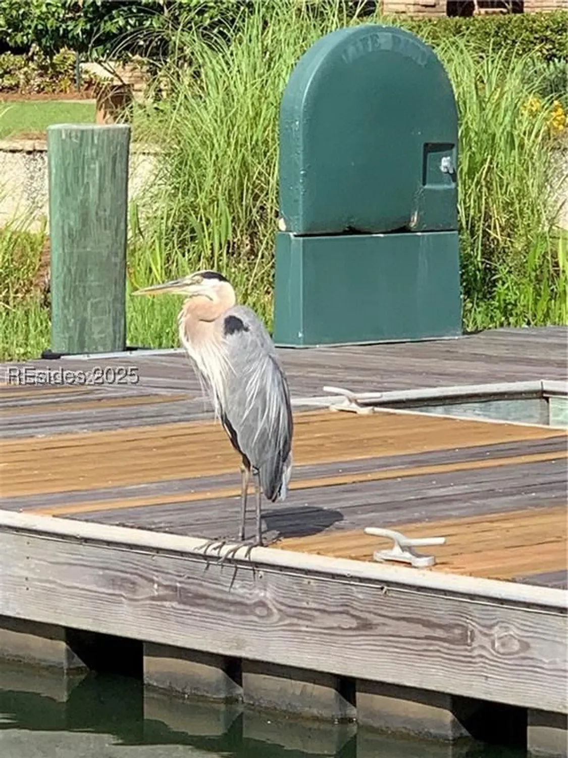 Property Slideshow image 62 of 65 | 604 flatwater dr, Bluffton, SC, 29910