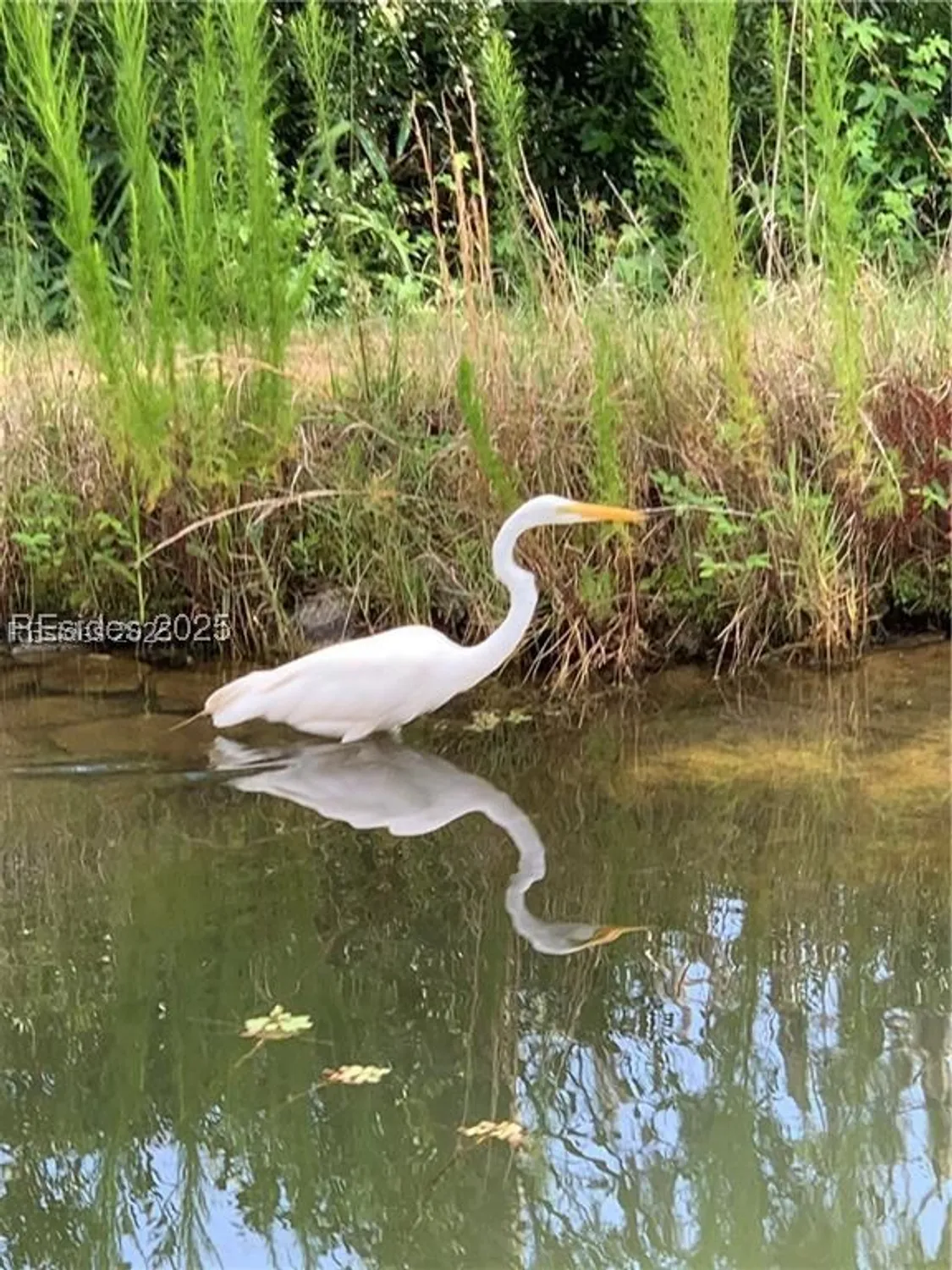 Property Slideshow image 63 of 65 | 604 flatwater dr, Bluffton, SC, 29910