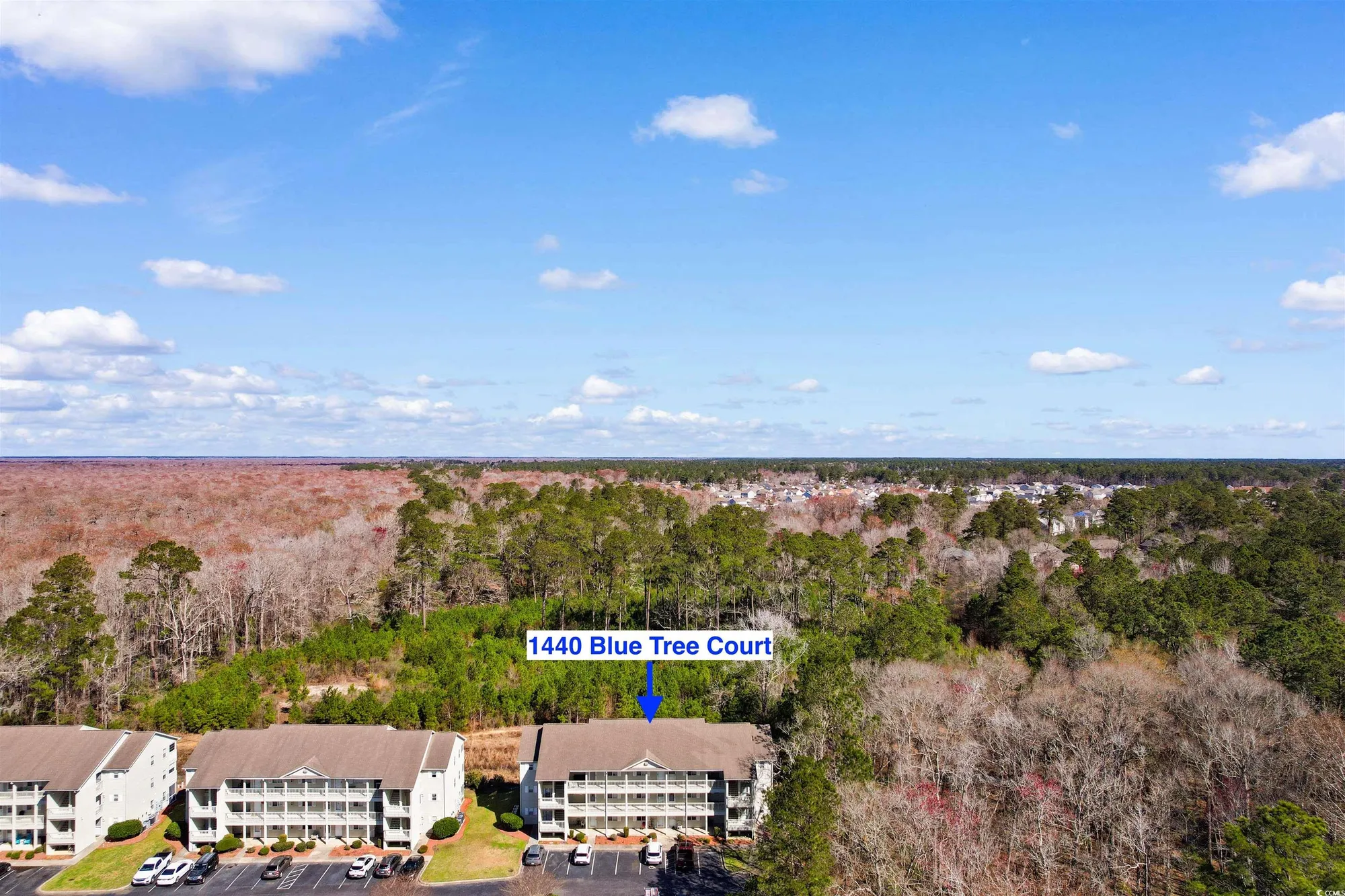 Property Slideshow image 27 of 40 | 1440 blue tree ct n, Myrtle Beach, SC, 29588