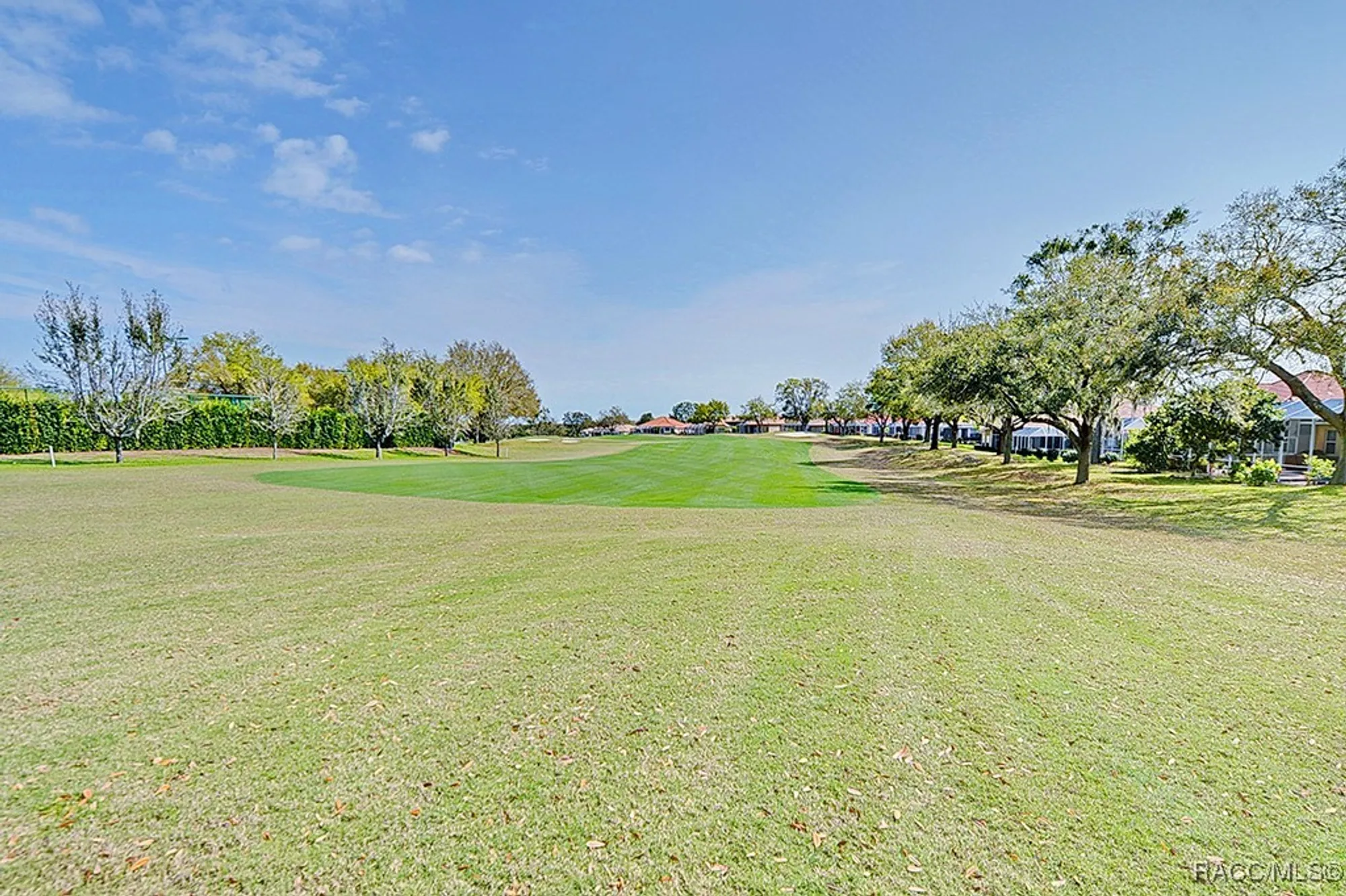Property Slideshow image 53 of 70 | 179 w mickey mantle path, Hernando, FL, 34442