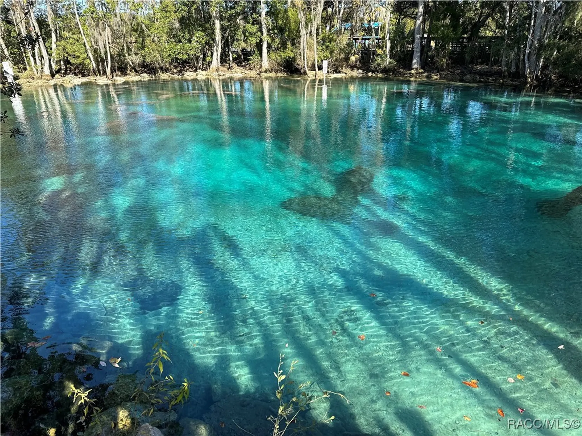 Property Slideshow image 35 of 49 | 418 w doerr path, Hernando, FL, 34442