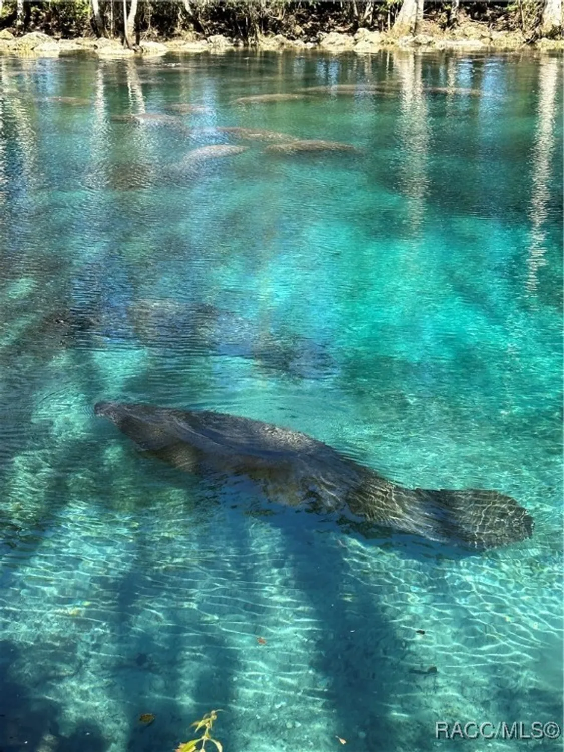 Property Slideshow image 36 of 49 | 418 w doerr path, Hernando, FL, 34442