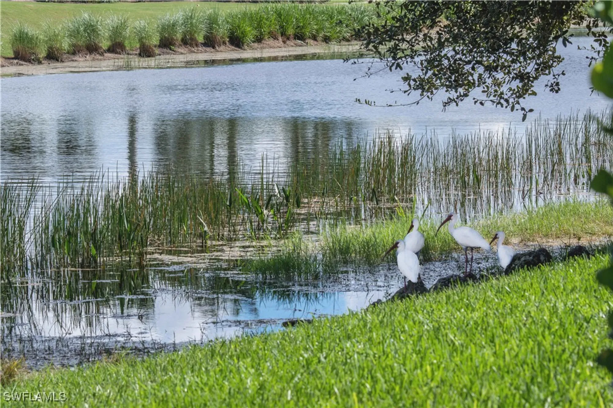 Property Slideshow image 50 of 50 | 10295 heritage bay blvd 911, Naples, FL, 34120
