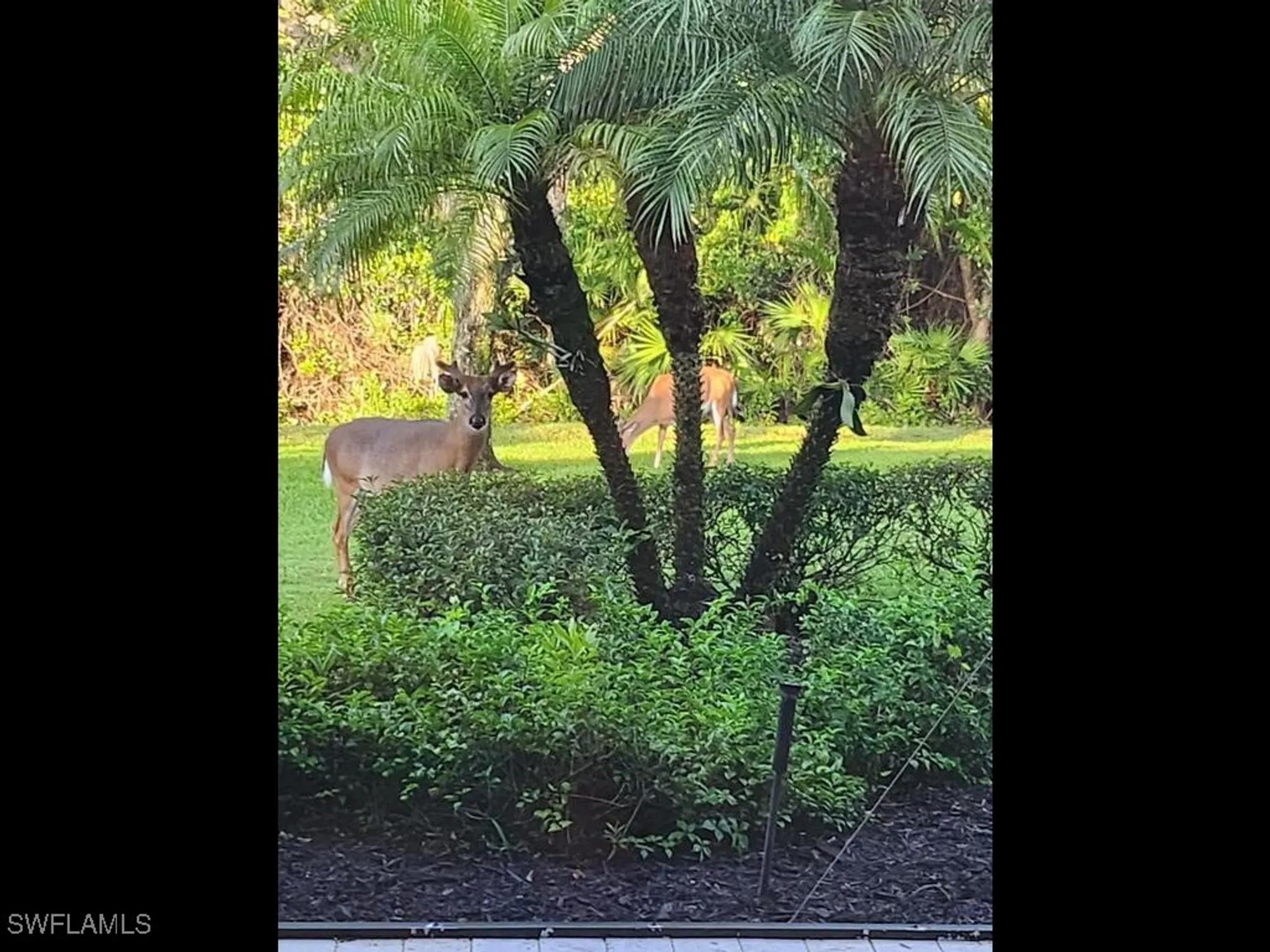 Property Slideshow image 26 of 39 | 6445 costa cir, Naples, FL, 34113