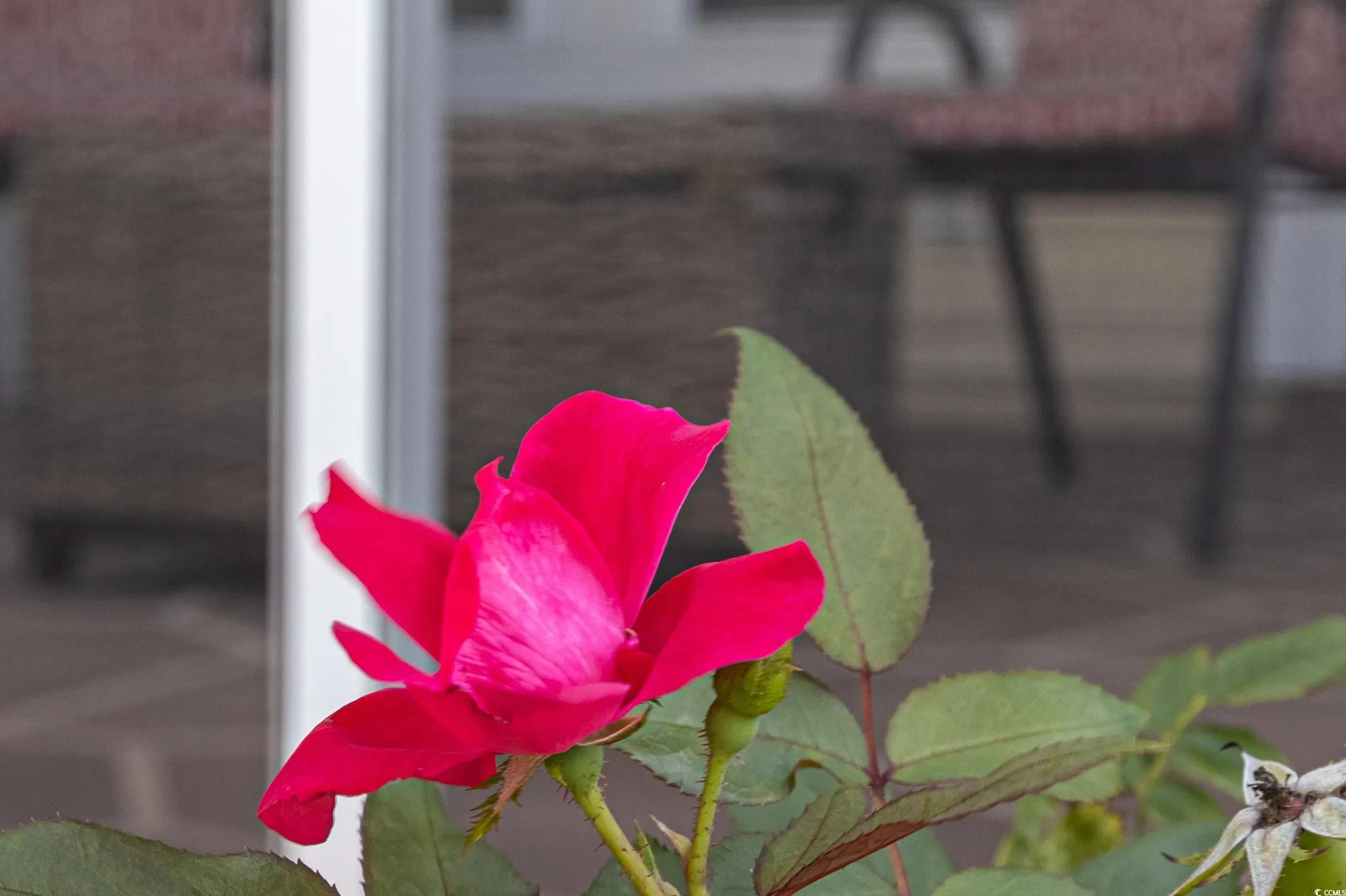 Property Slideshow image 36 of 40 | 100 culpepper way unit 1003, Myrtle Beach, SC, 29579