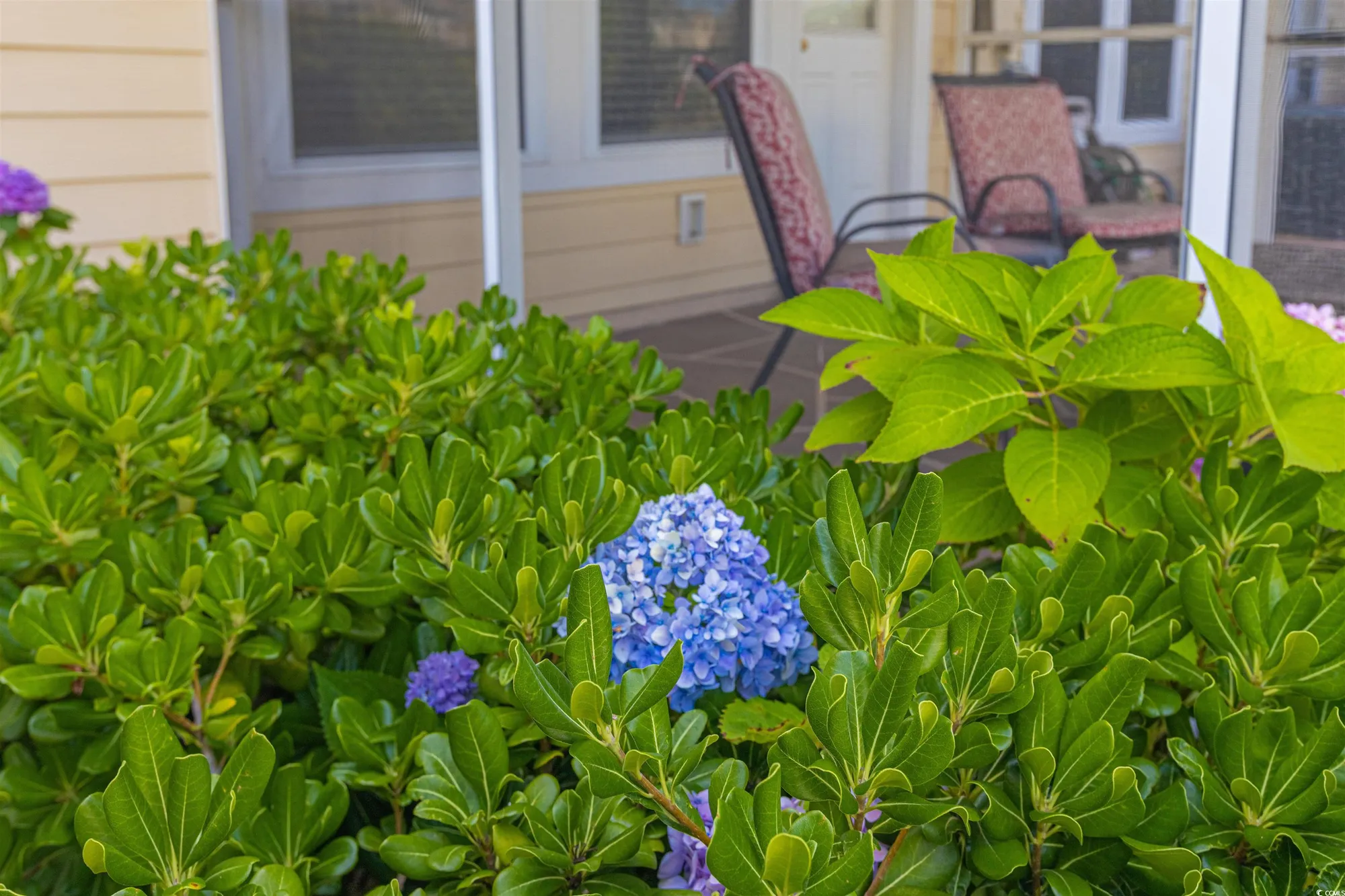 Property Slideshow image 32 of 40 | 100 culpepper way unit 1003, Myrtle Beach, SC, 29579